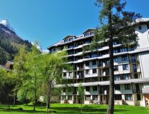 Knus appartement voor 4 in Chamonix, vlakbij skipistes en het meer - thumbnail 5
