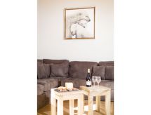 Authentiek appartement voor 5 aan de skipiste van Chamonix - thumbnail 4