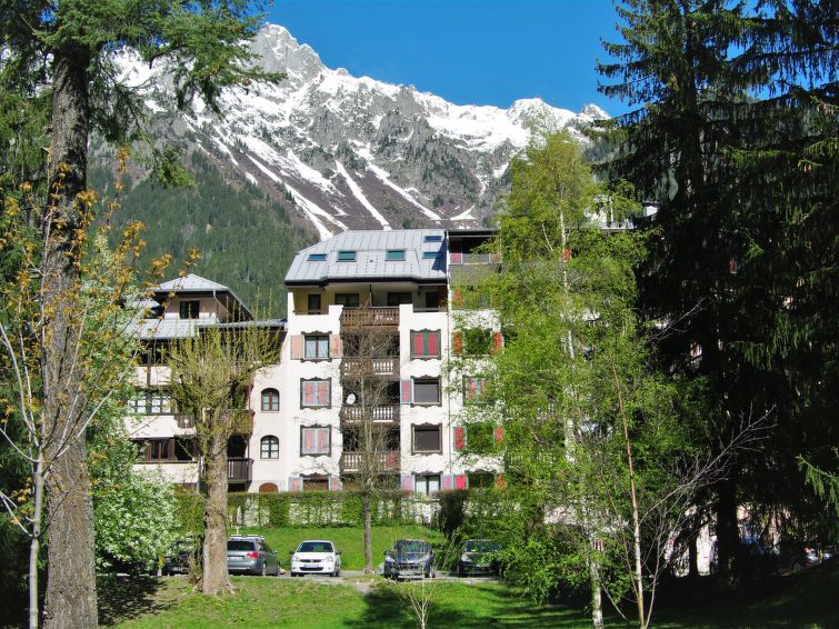 Jonquilles Apartment in Chamonix