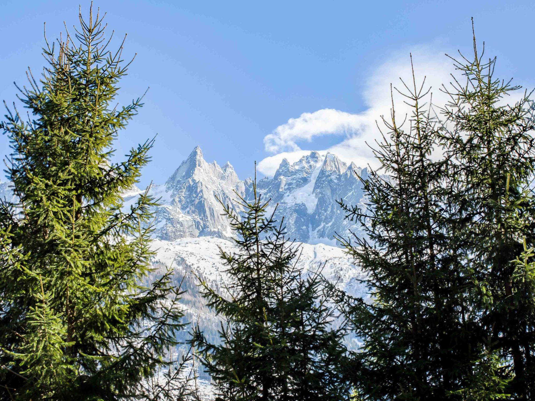 Photo of Chalet La Source