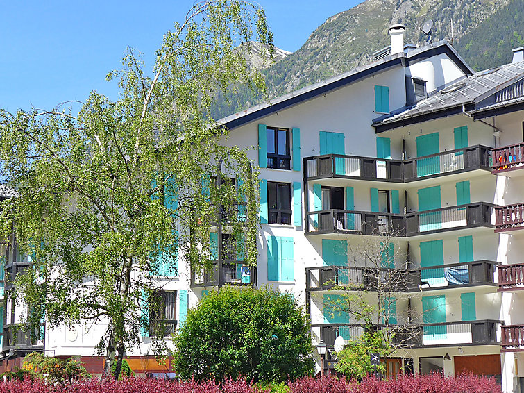 La Balme Apartment in Chamonix
