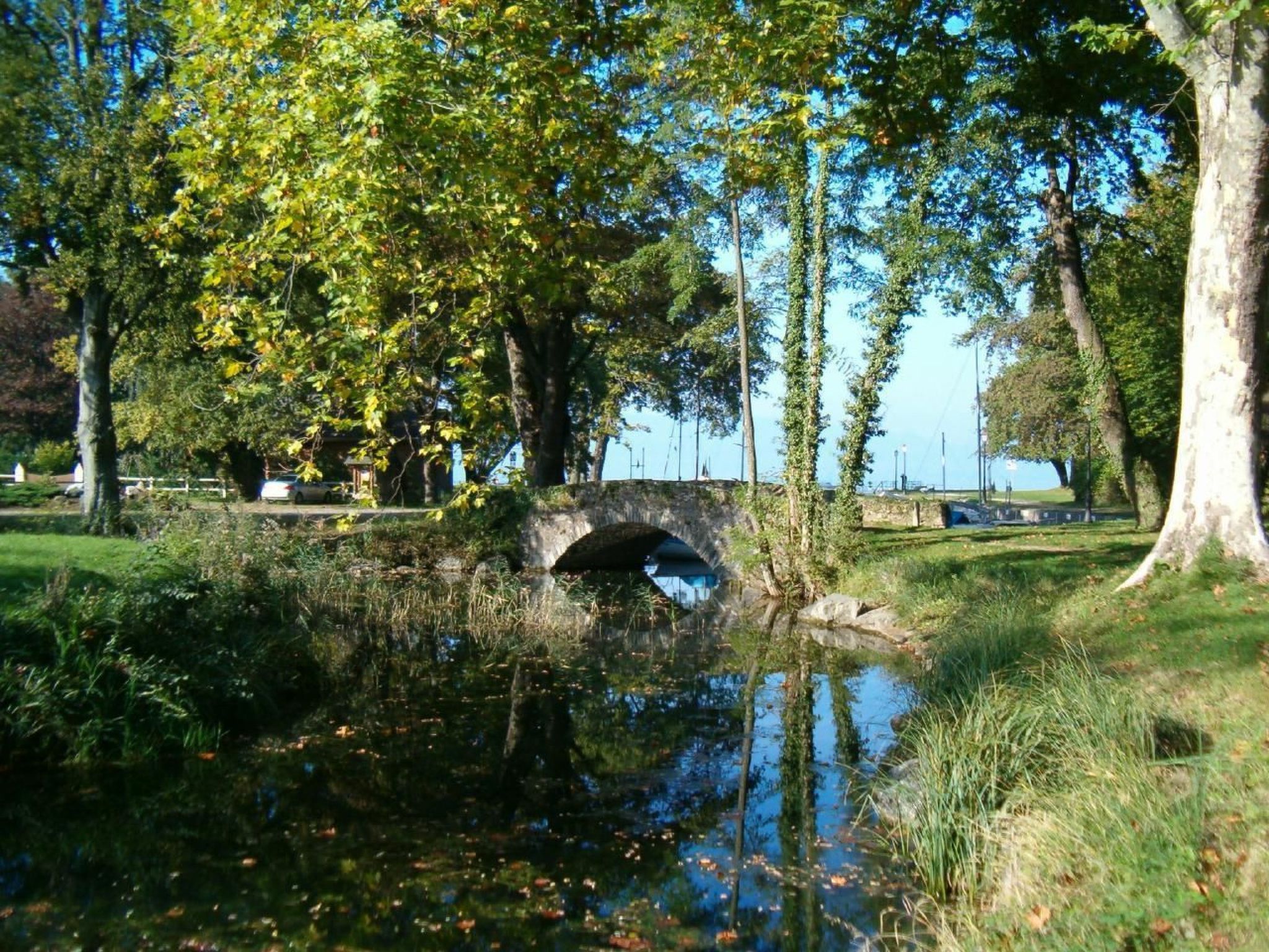 Coudree - Image 4