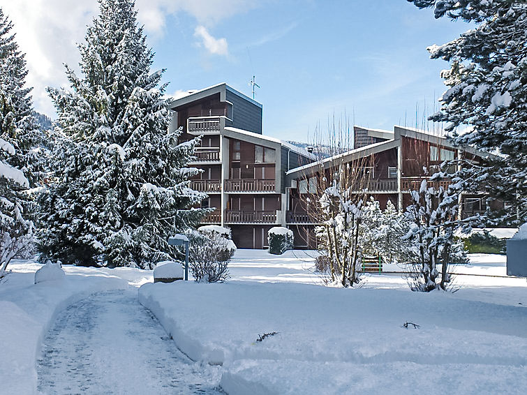 Photo of Les Joncioles in Samoëns/Morillon - France