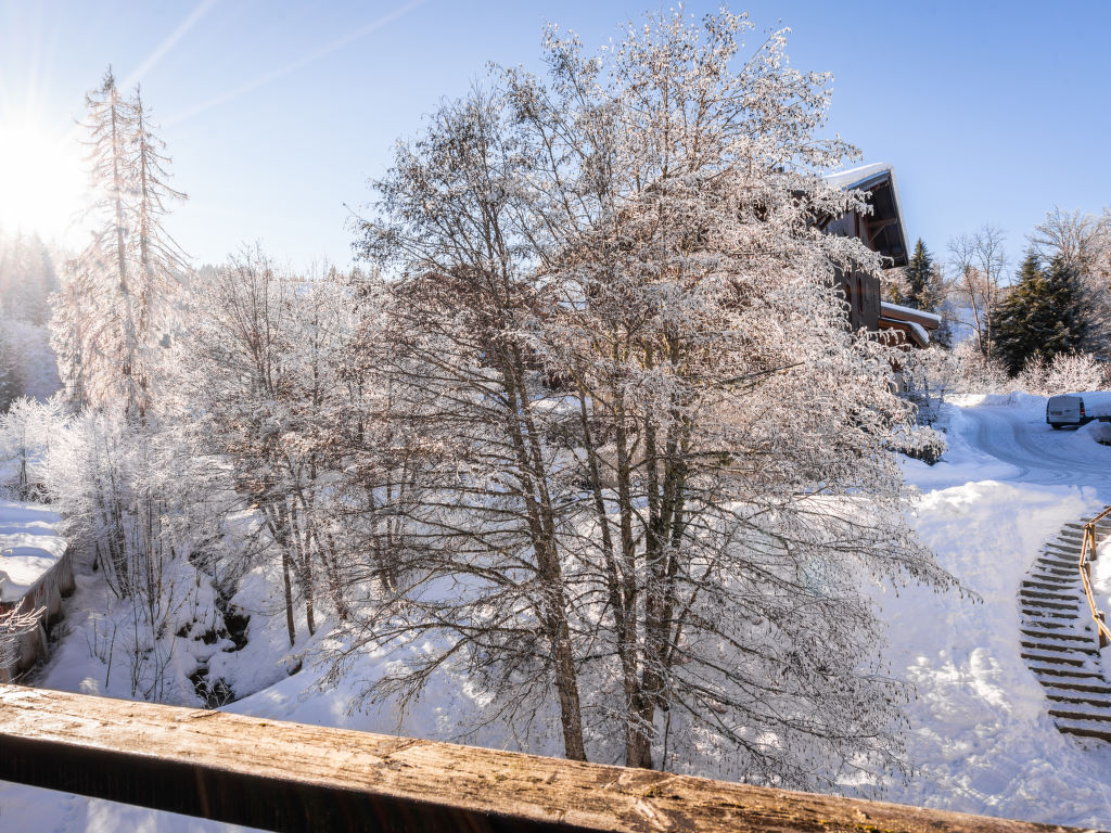 Bild 12