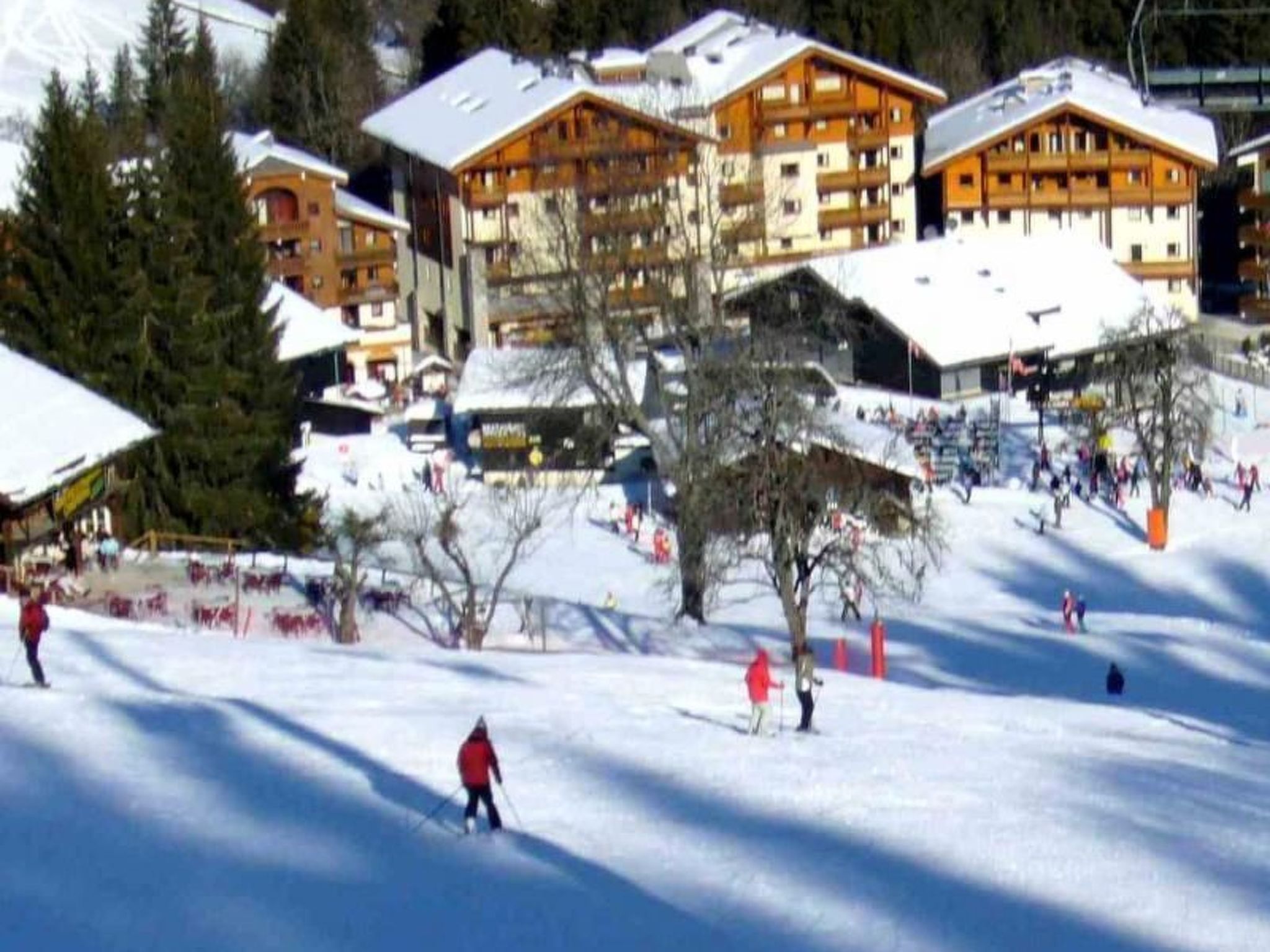 Photo of "Jardin Alpin