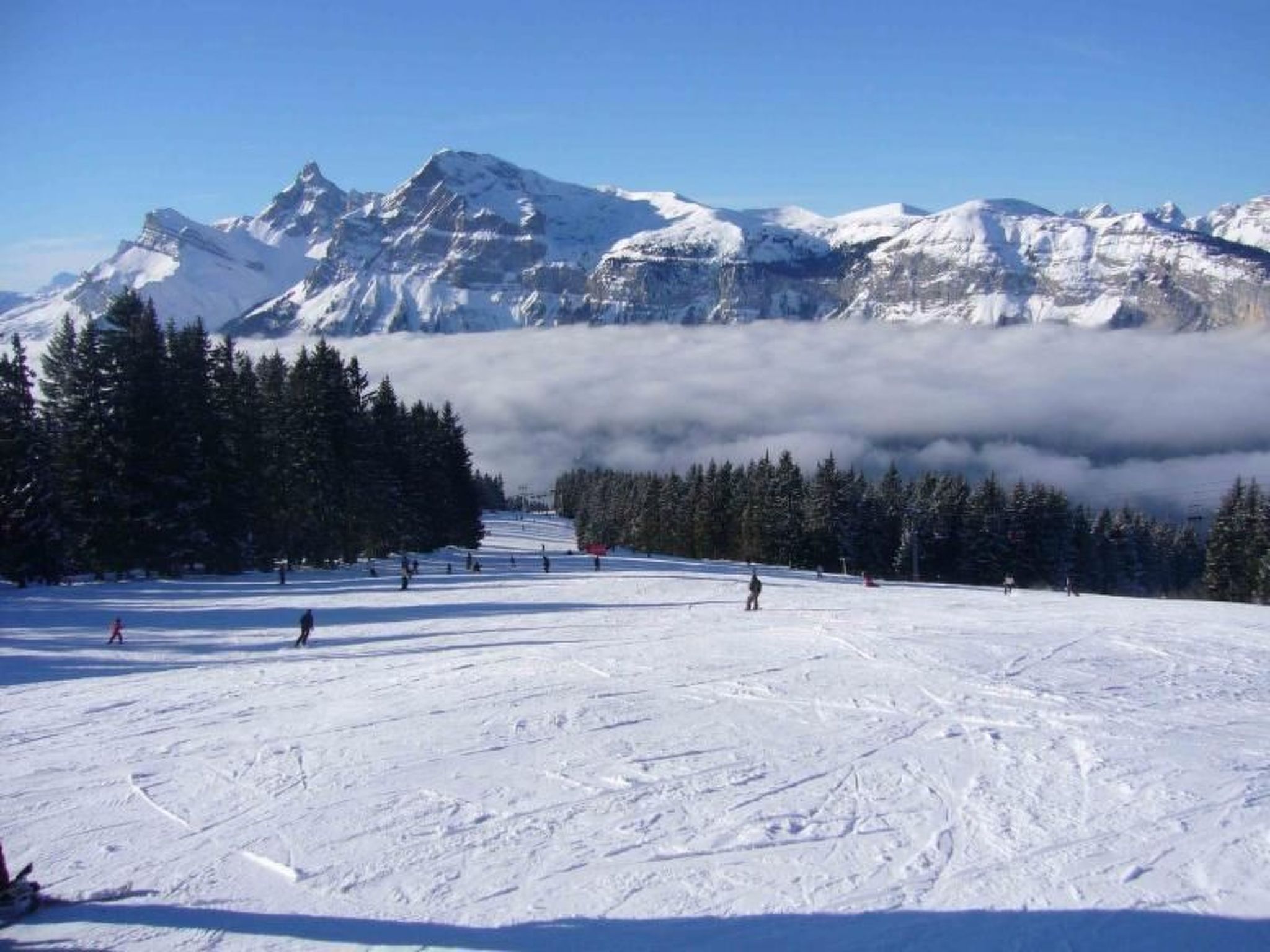 Photo of "Jardin Alpin