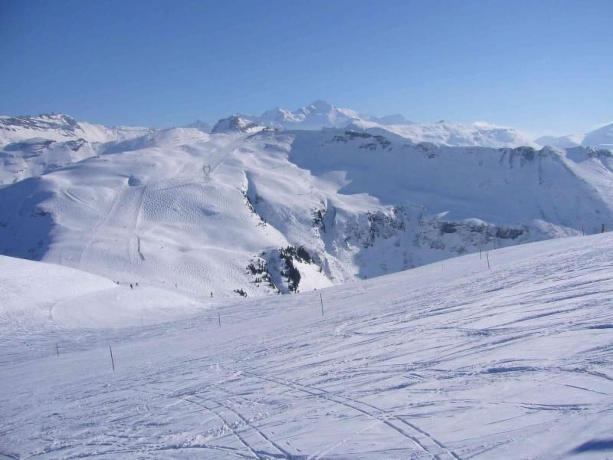 Photo of "Jardin Alpin