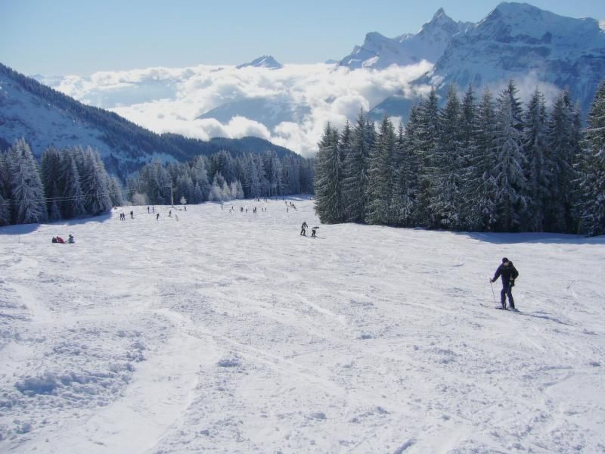 Photo of "Jardin Alpin