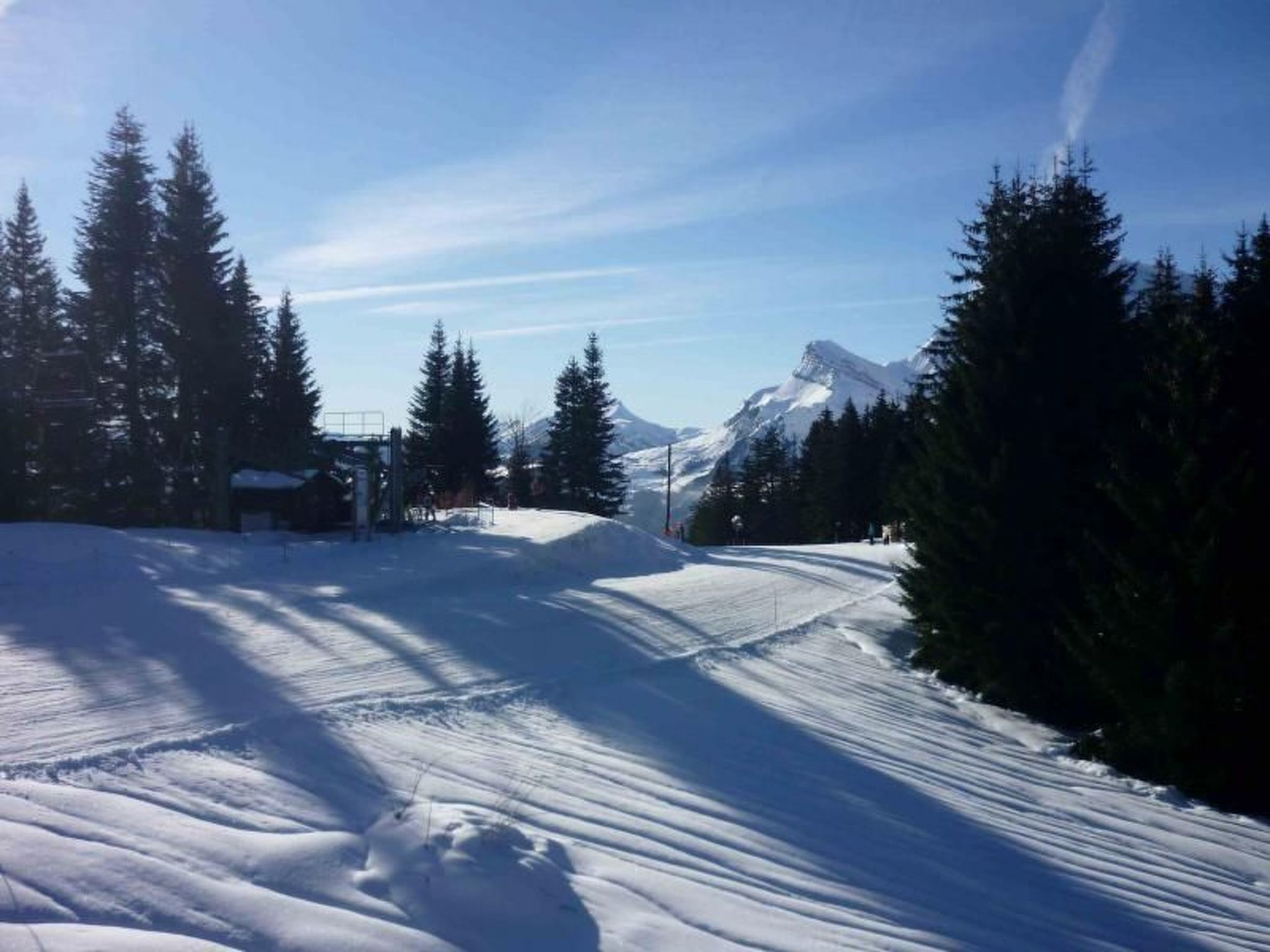 Photo of "Jardin Alpin