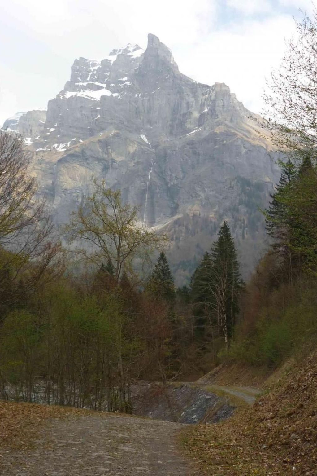 Photo of "Jardin Alpin