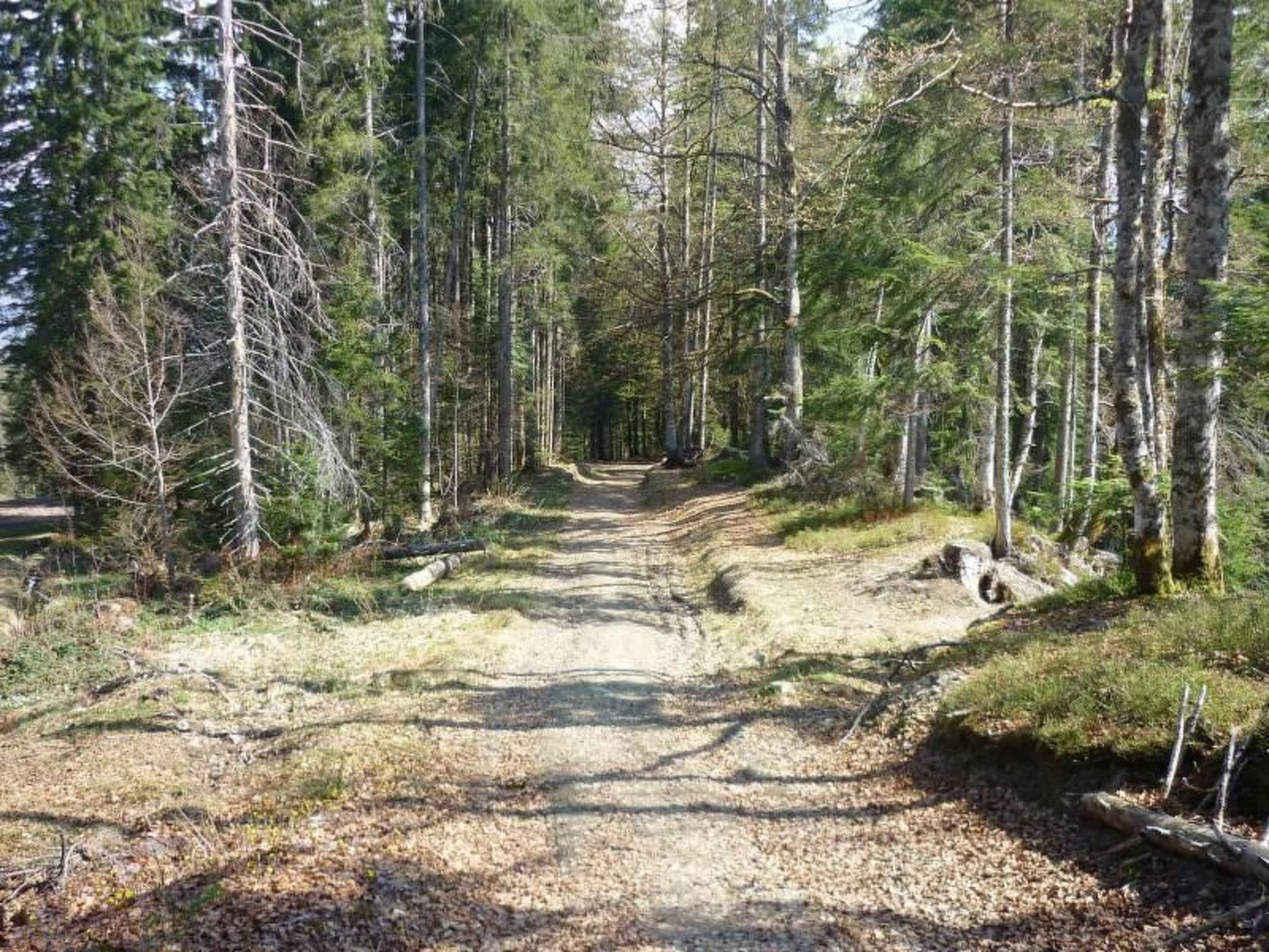 Photo of "Jardin Alpin