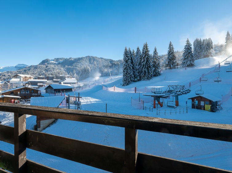 Photo of Grand Morillon