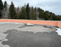 Apartment Grand Morillon