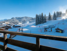 Apartment Grand Morillon