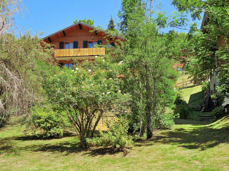 Fer à Cheval Chalet in Chatel