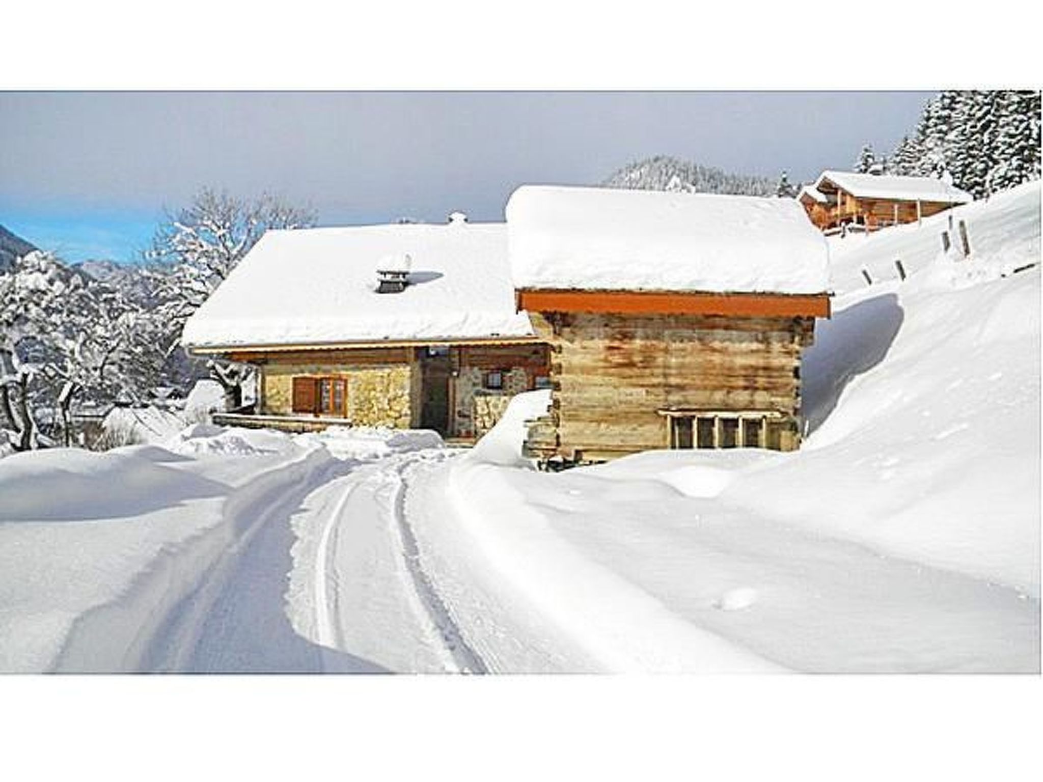 Chalet Petit Châtel
