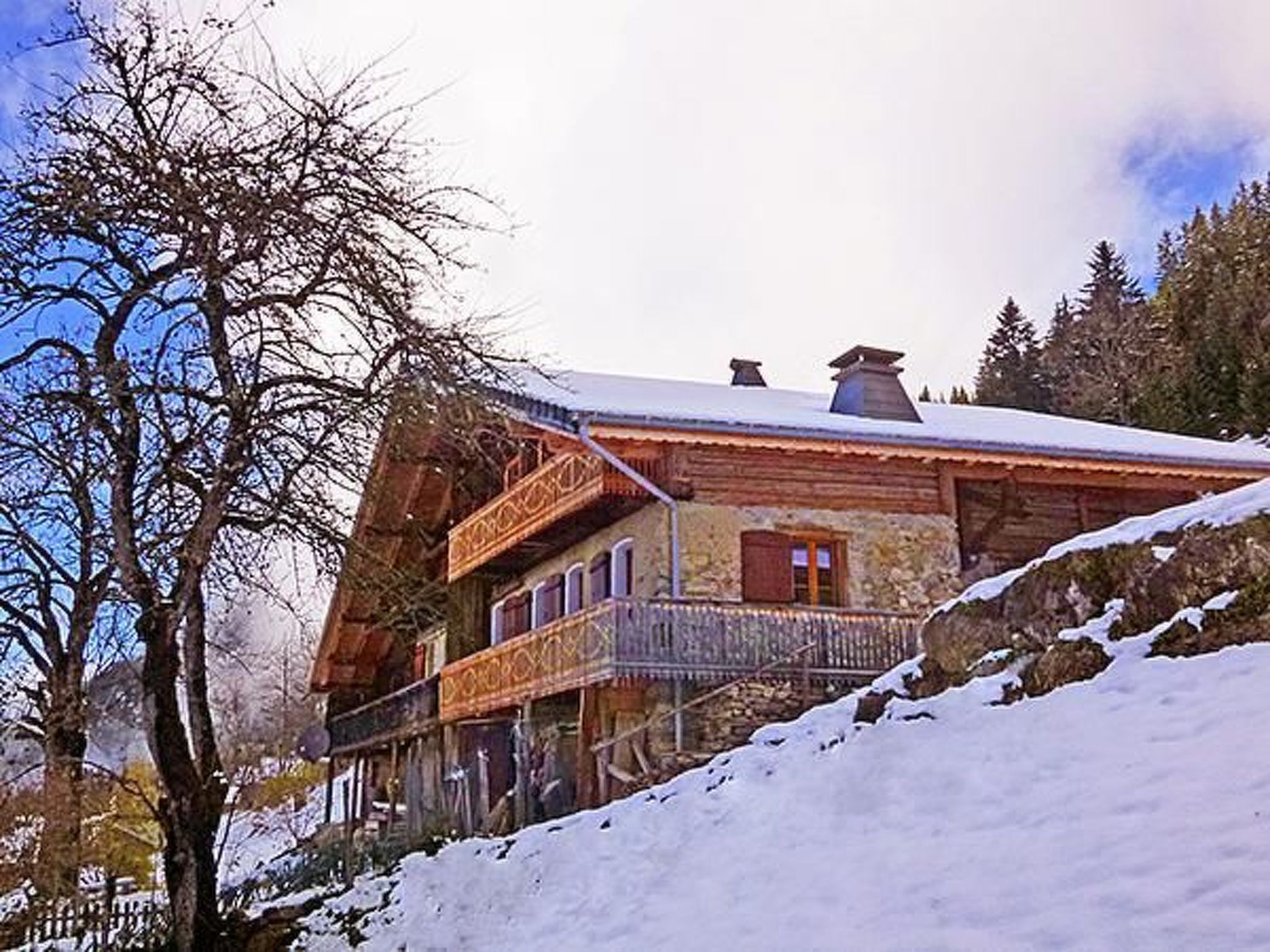 Chalet Petit Châtel