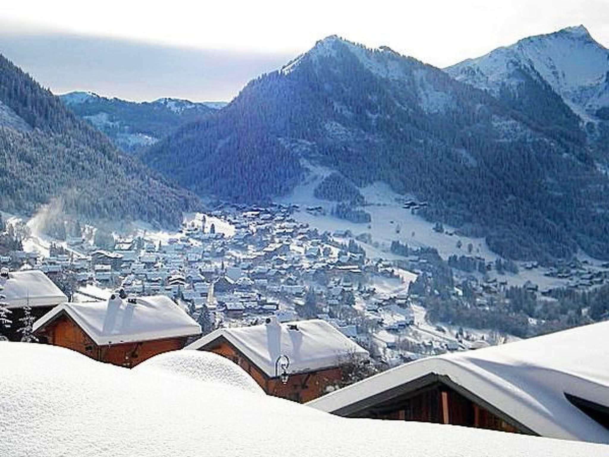 Chalet Petit Châtel - Outside