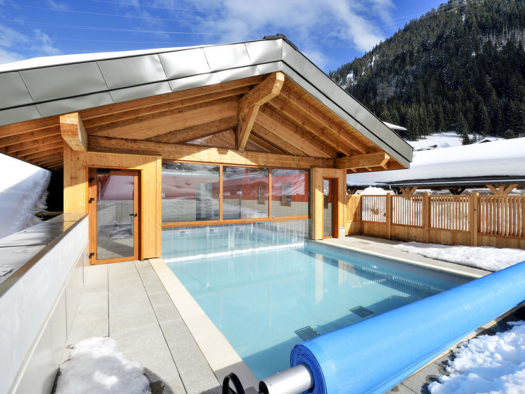 Le Grand Lodge (CHL100) Apartment in Chatel