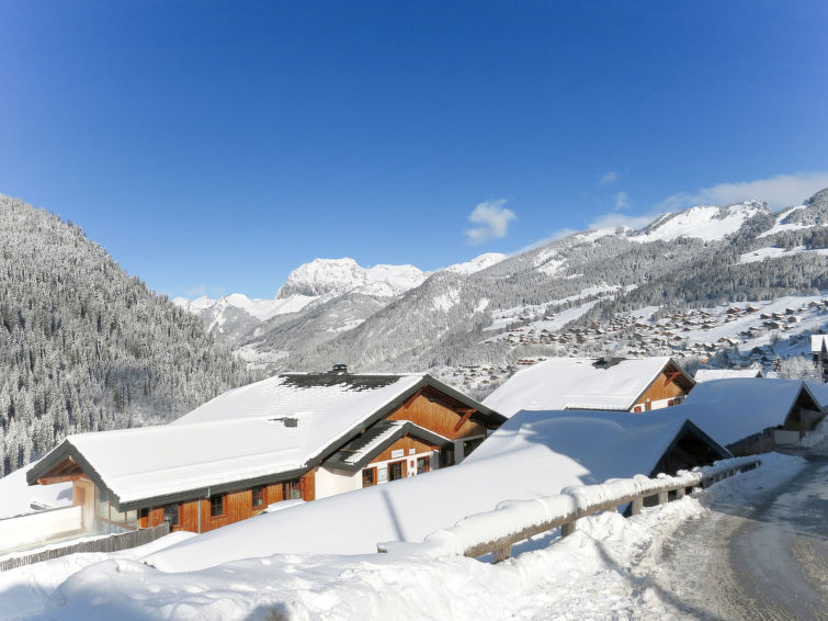 Le Grand Lodge (CHL101) Apartment in Chatel