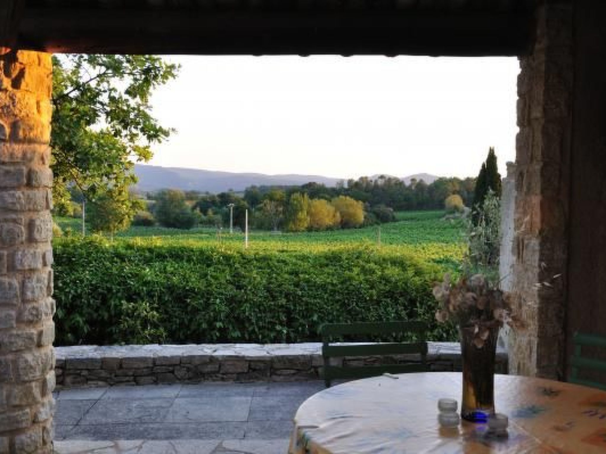 "Haus der Olivenbäume"-Binnen