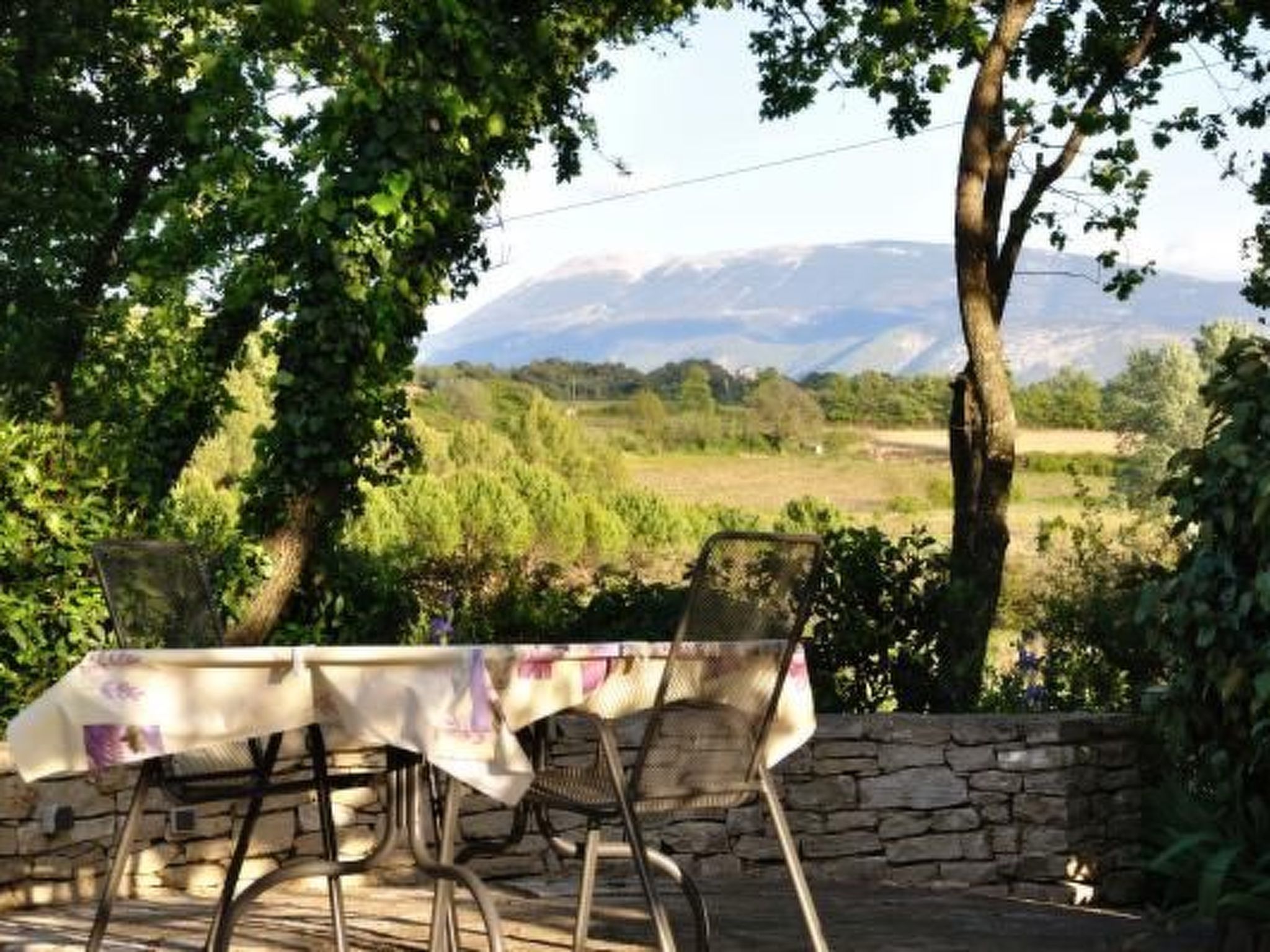 "Haus der Olivenbäume"-Binnen