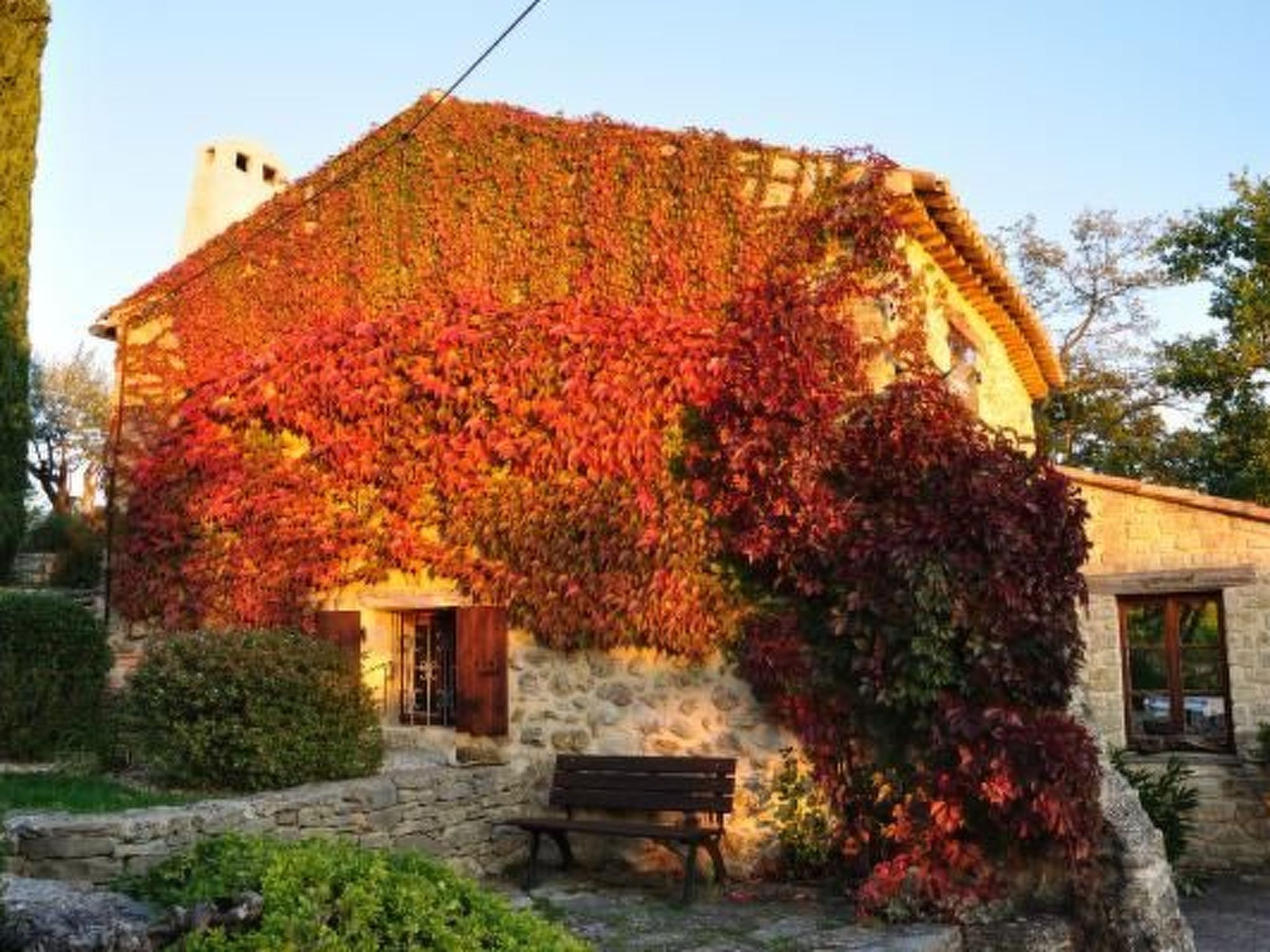"Haus der Olivenbäume"-Binnen