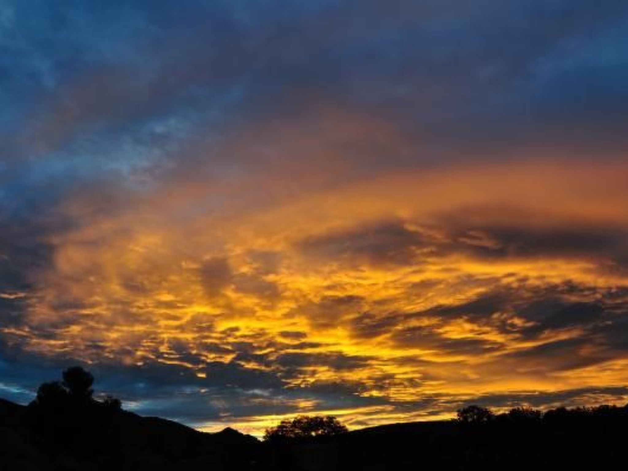 "Haus der Olivenbäume"-Binnen