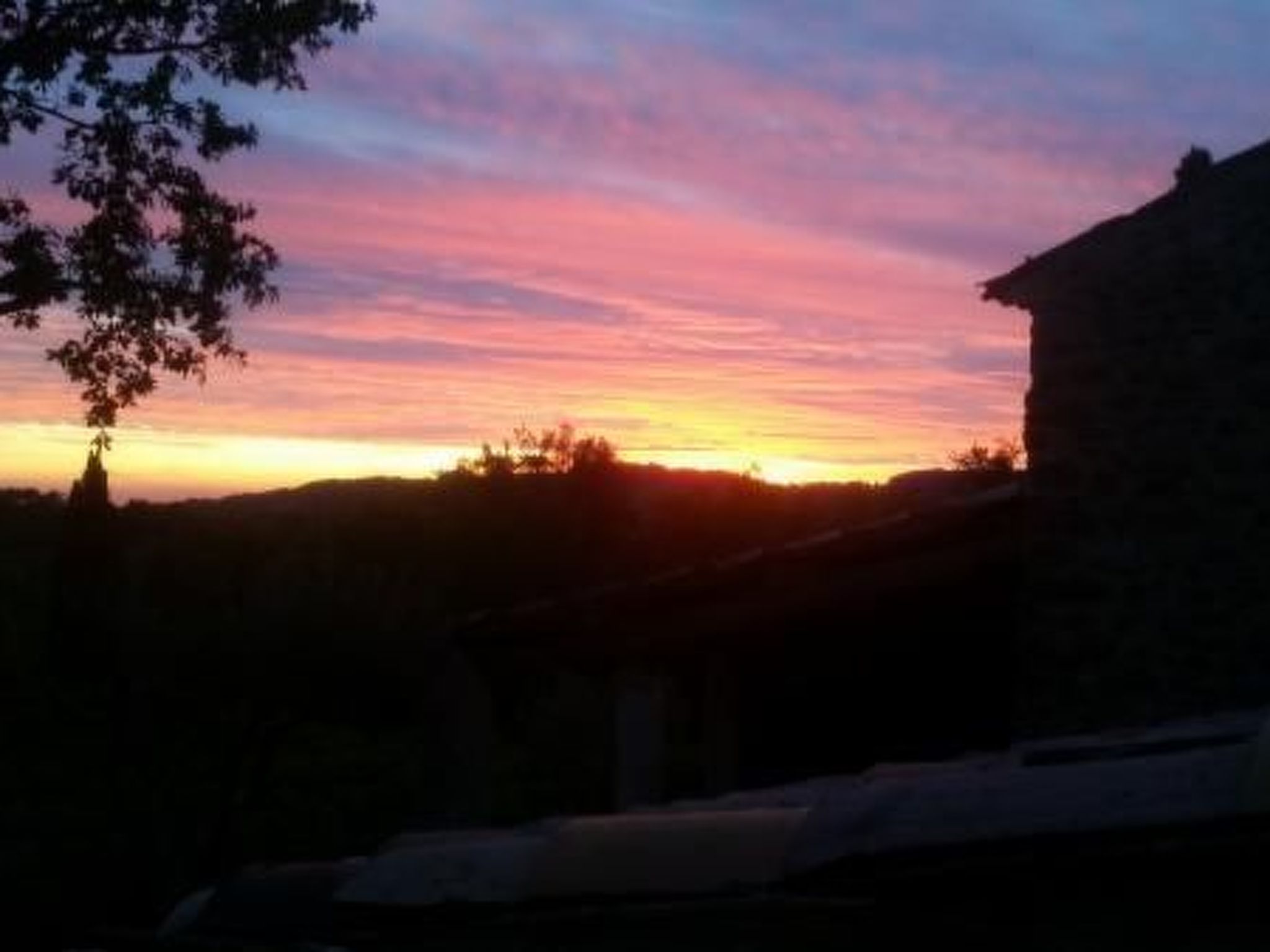 "Haus der Olivenbäume"-Binnen