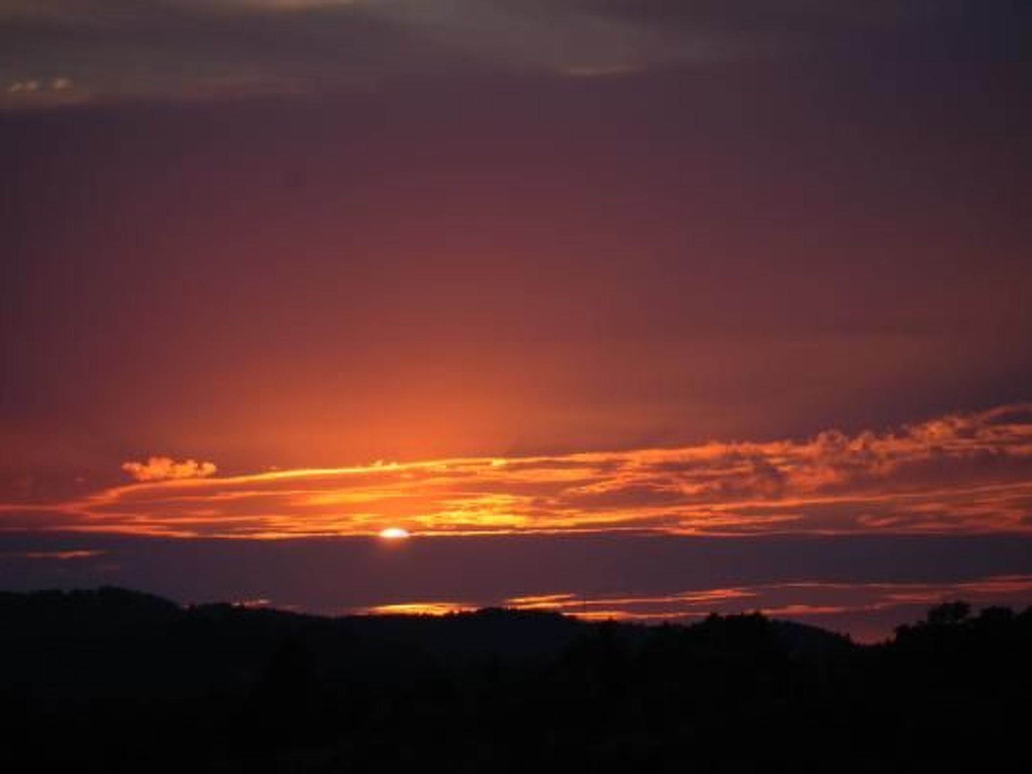 "Haus der Olivenbäume"-Binnen