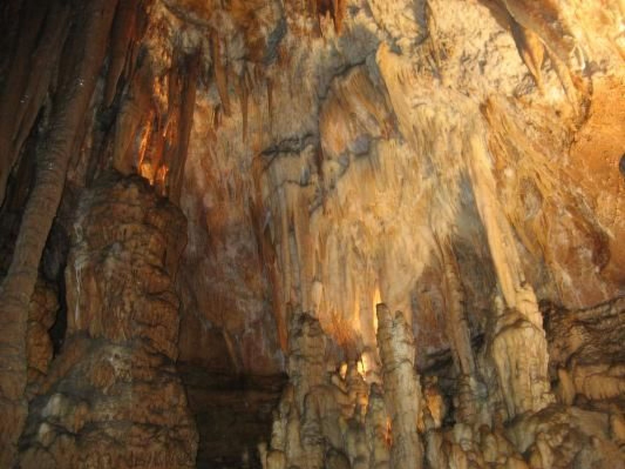 "Haus der Olivenbäume"-Binnen