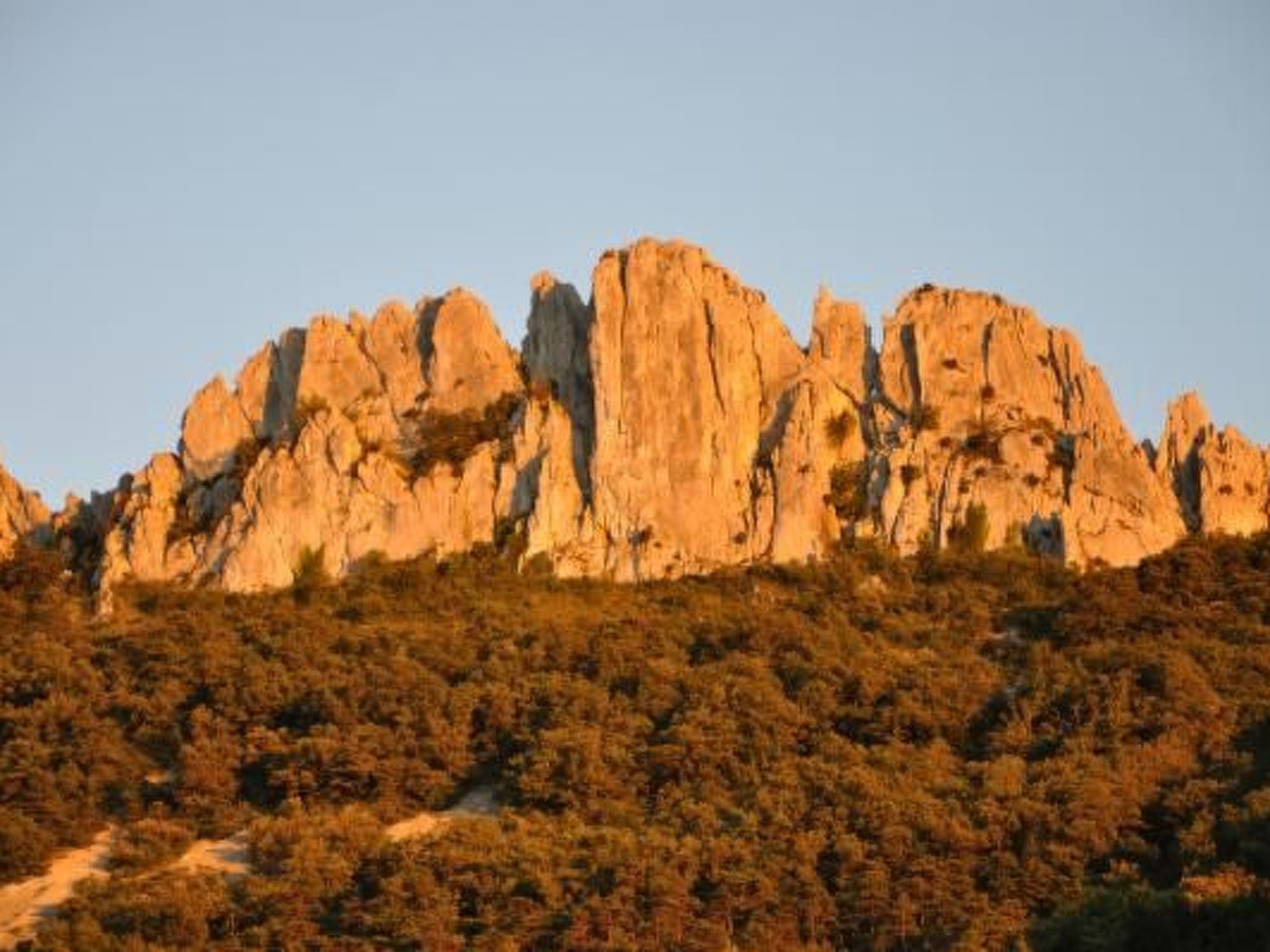 "Haus der Olivenbäume"-Binnen