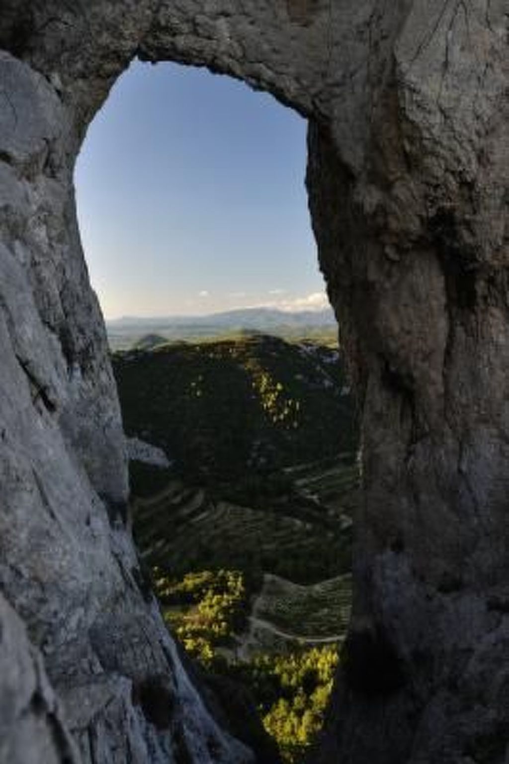 "Haus der Olivenbäume"-Binnen