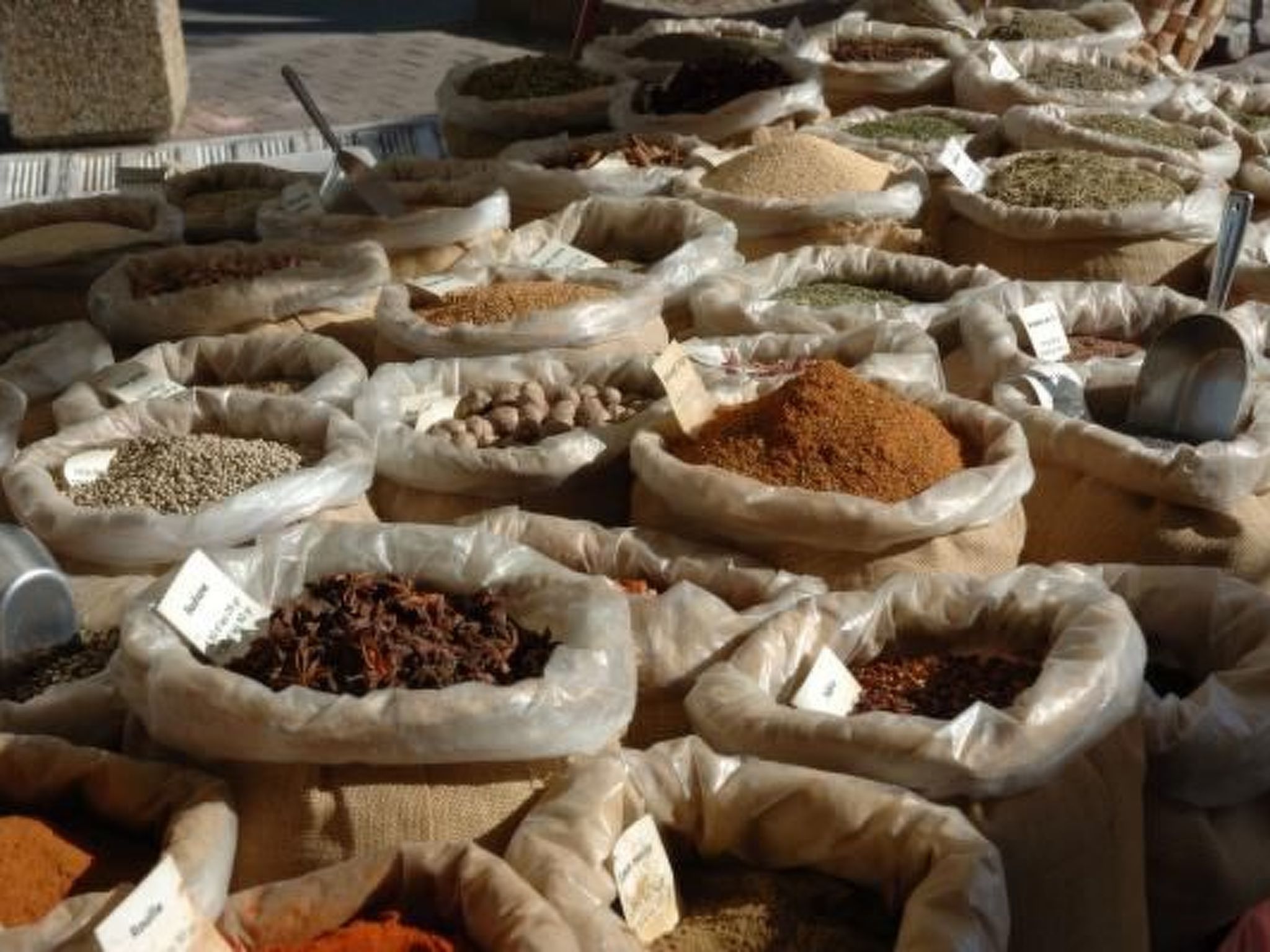 "Haus der Olivenbäume"-Binnen