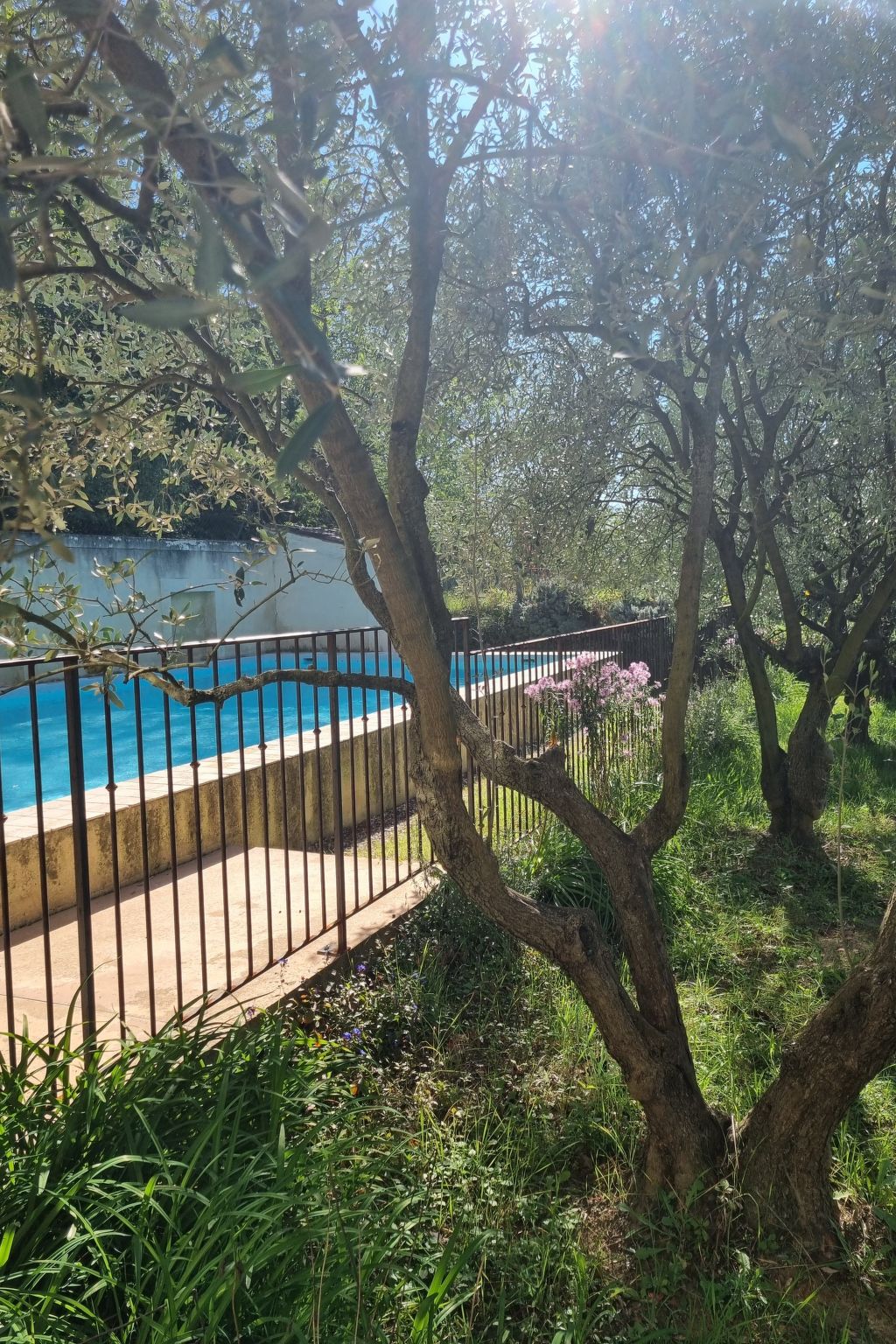 Mas de la damisello-Binnen