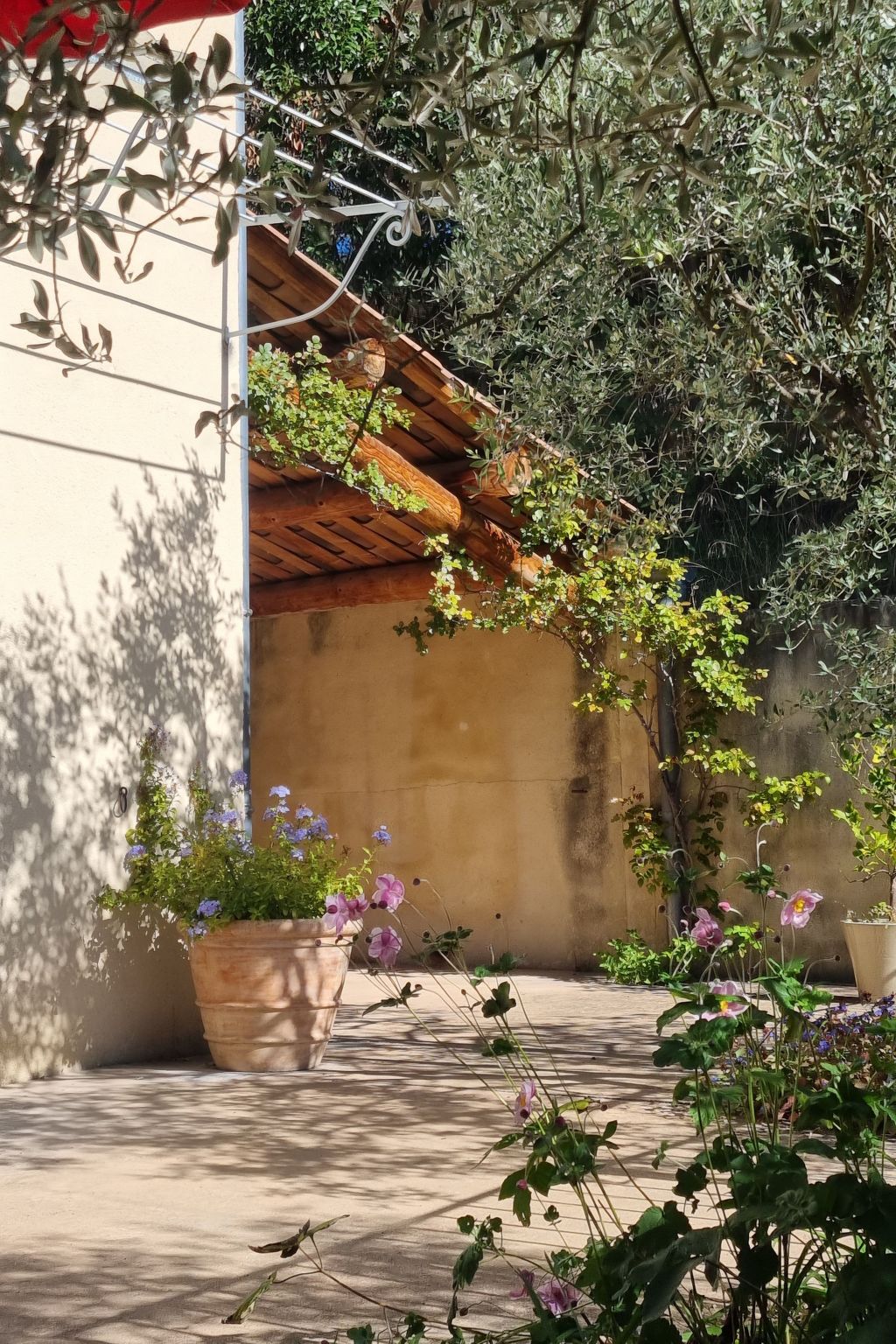 Mas de la damisello-Binnen