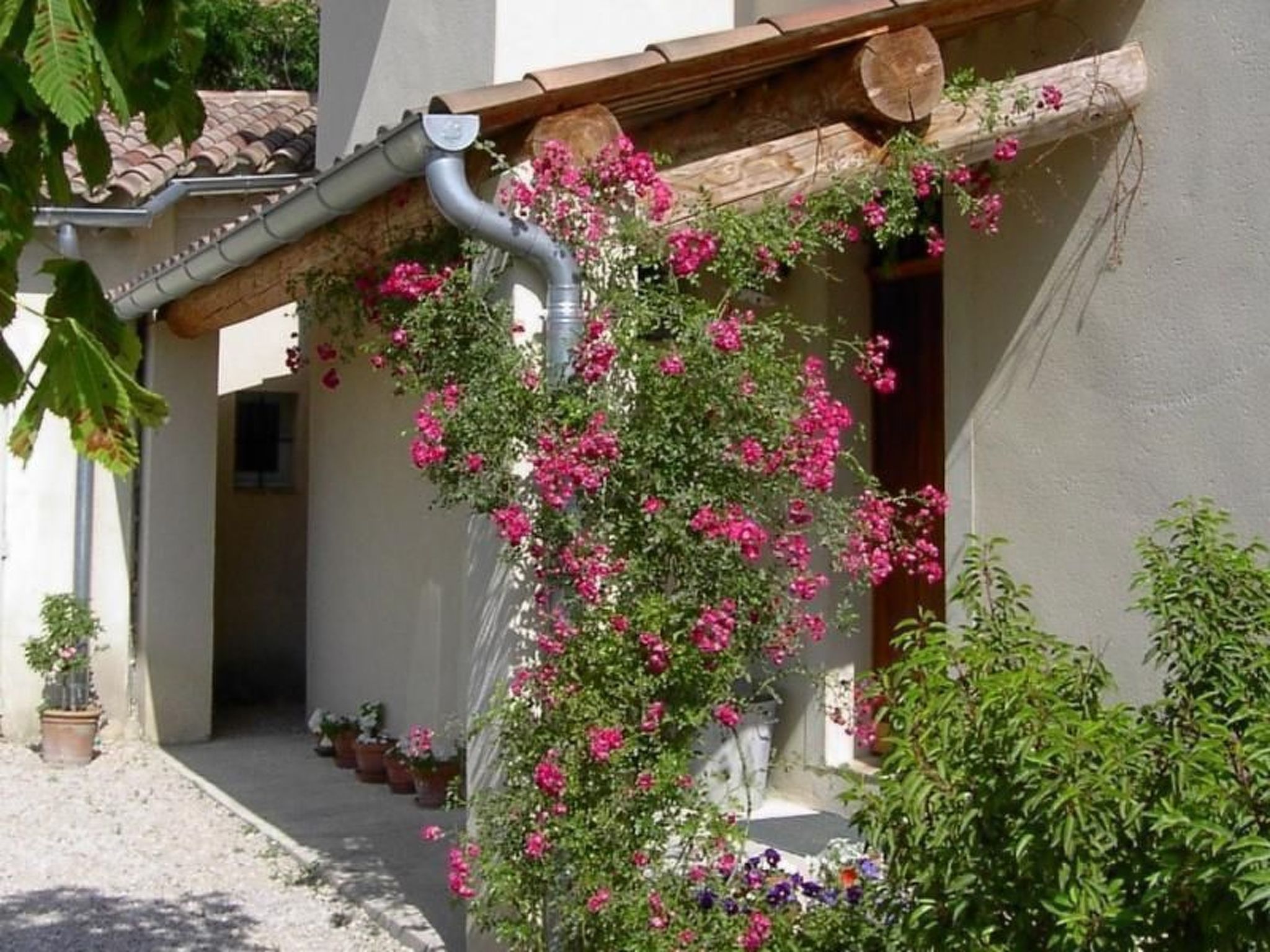 Mas de la damisello-Binnen