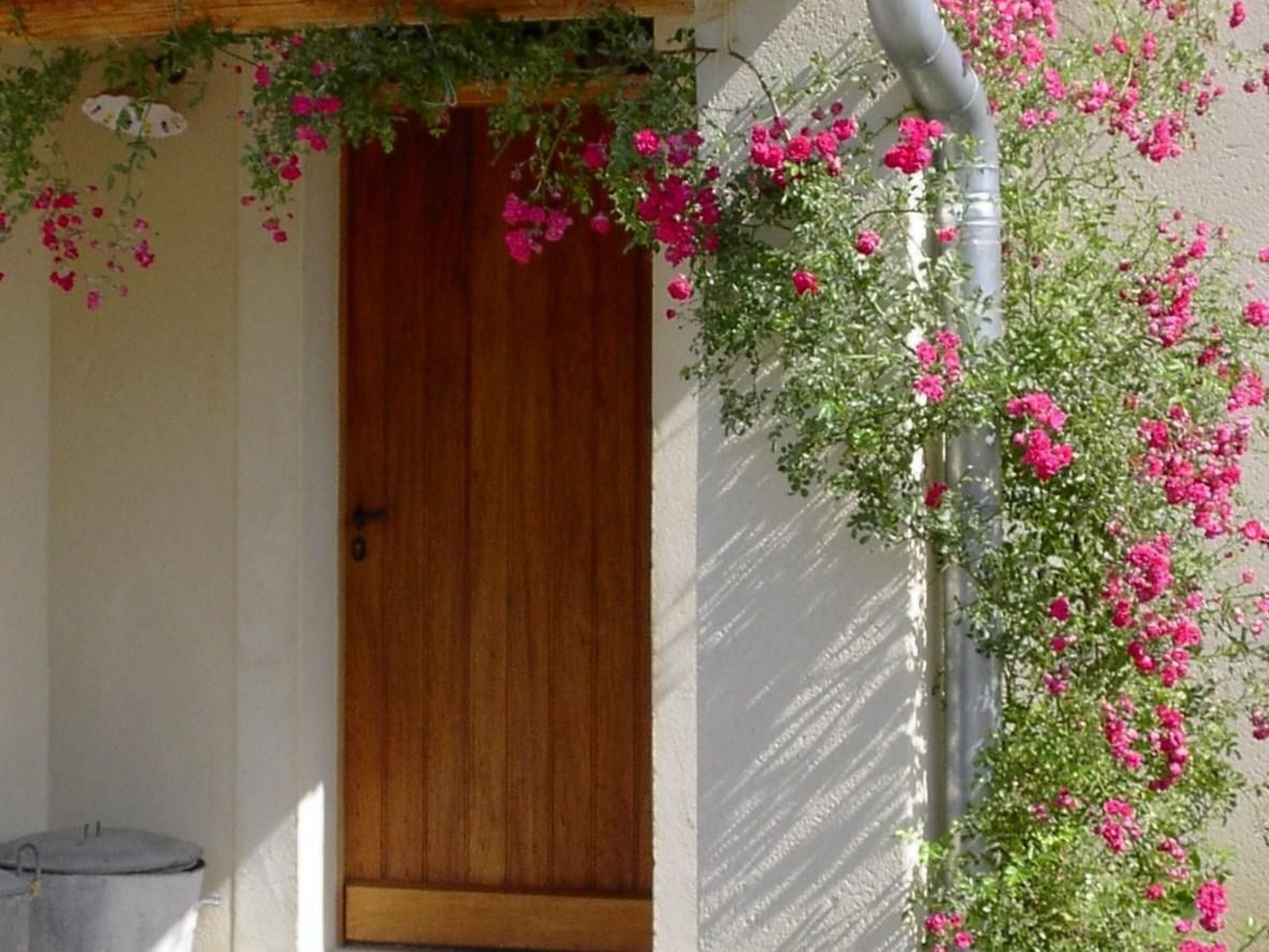 Mas de la damisello-Binnen