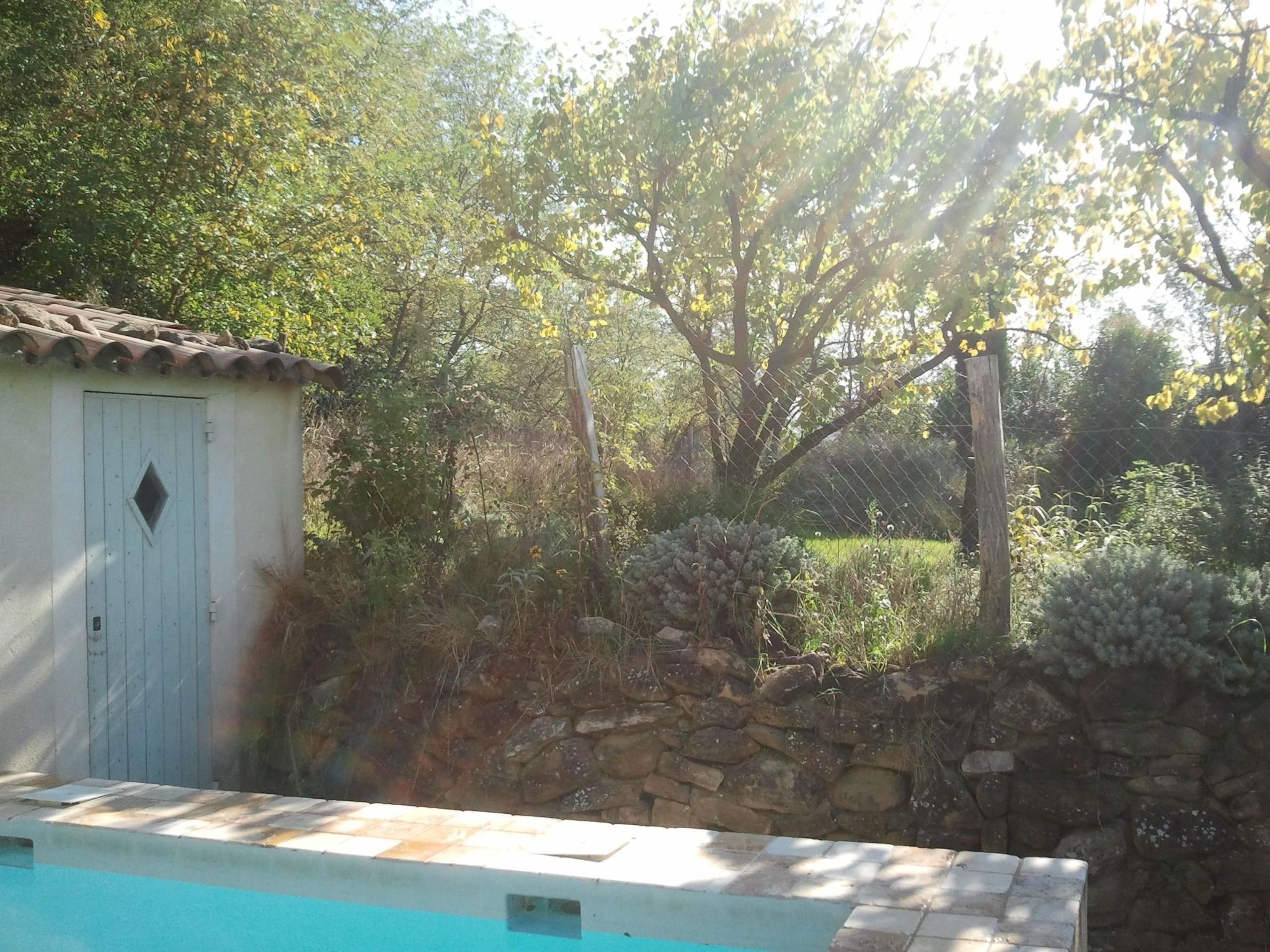 Mas de la damisello-Binnen