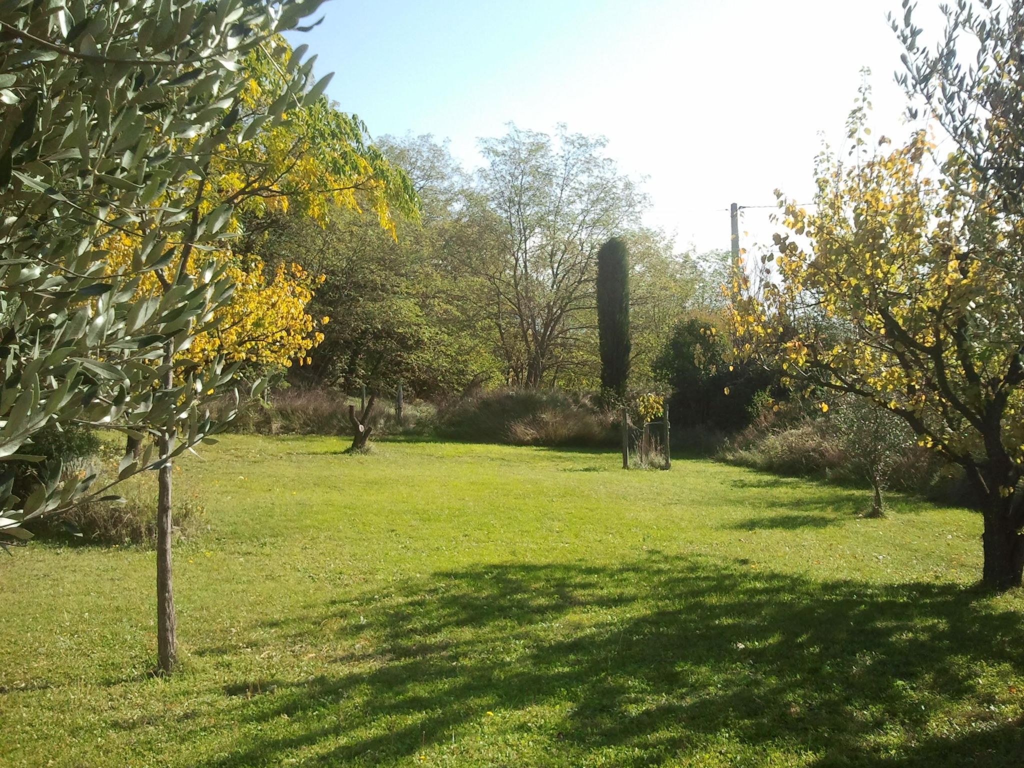 Mas de la damisello-Binnen