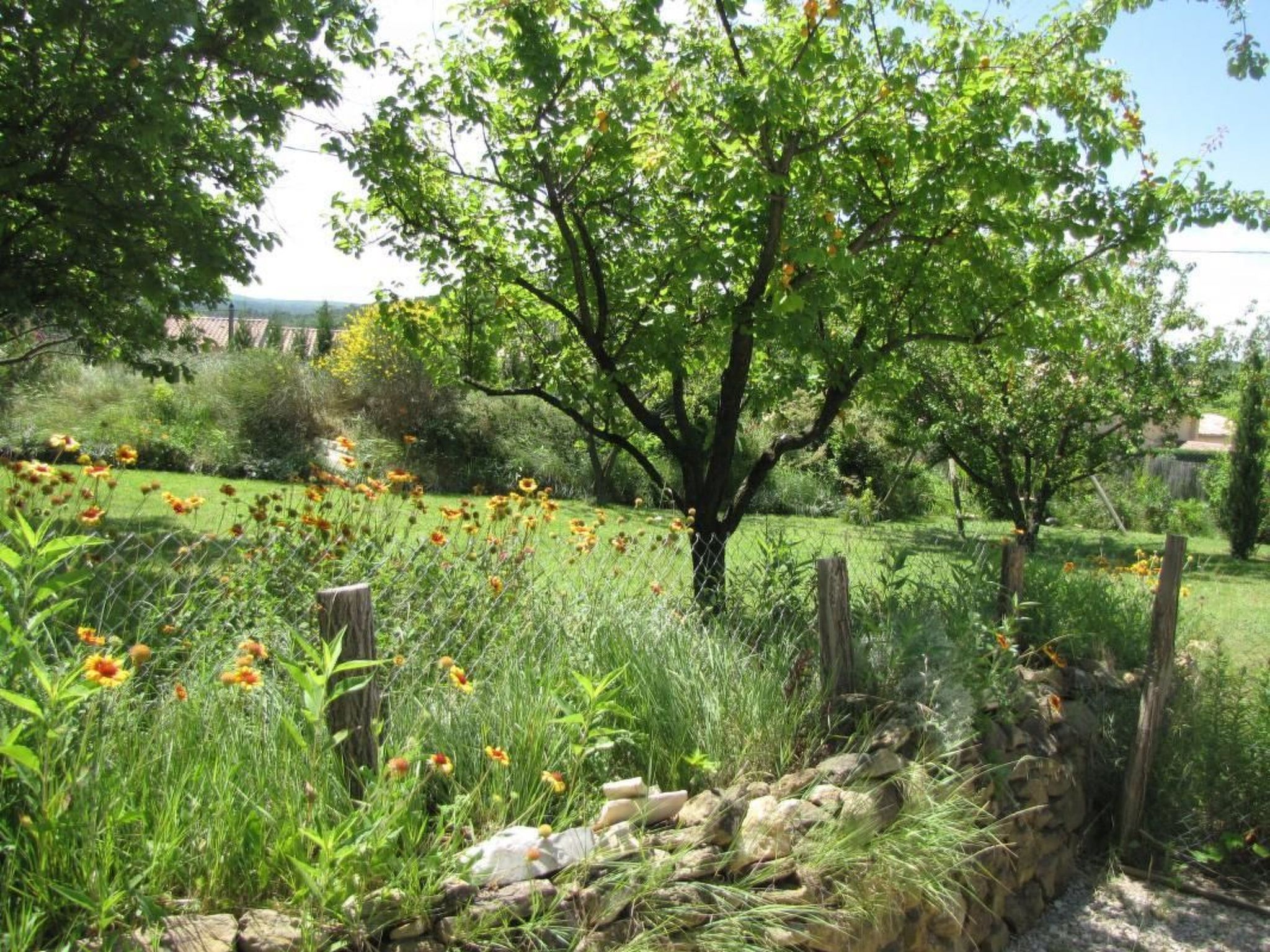 Mas de la damisello-Binnen