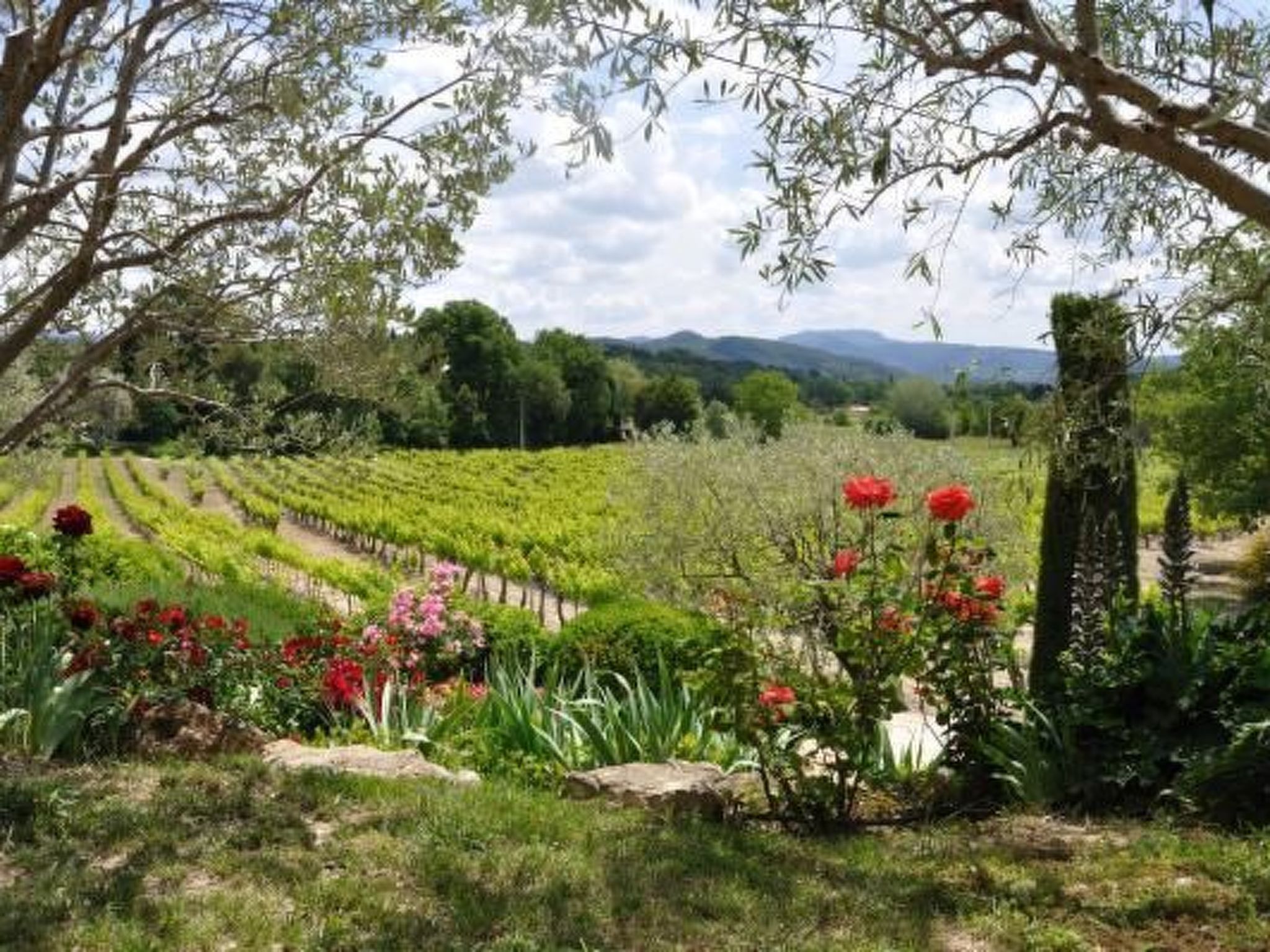 FERIENHAUS, FERIENHAUS "MAISON DE LAVANDE" (LAVENDELHAUS)-Binnen