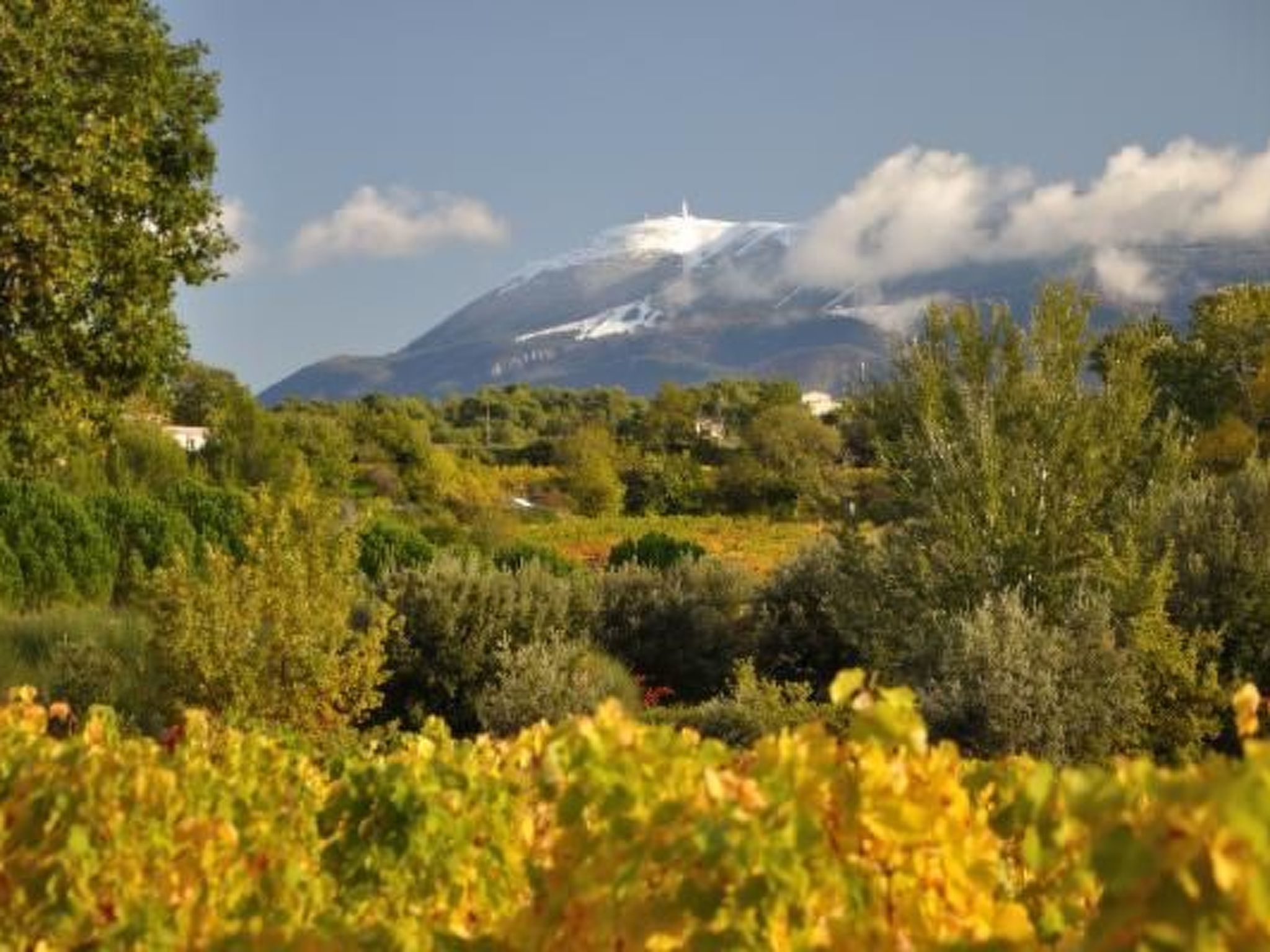 FERIENHAUS, FERIENHAUS "MAISON DE LAVANDE" (LAVENDELHAUS)-Binnen