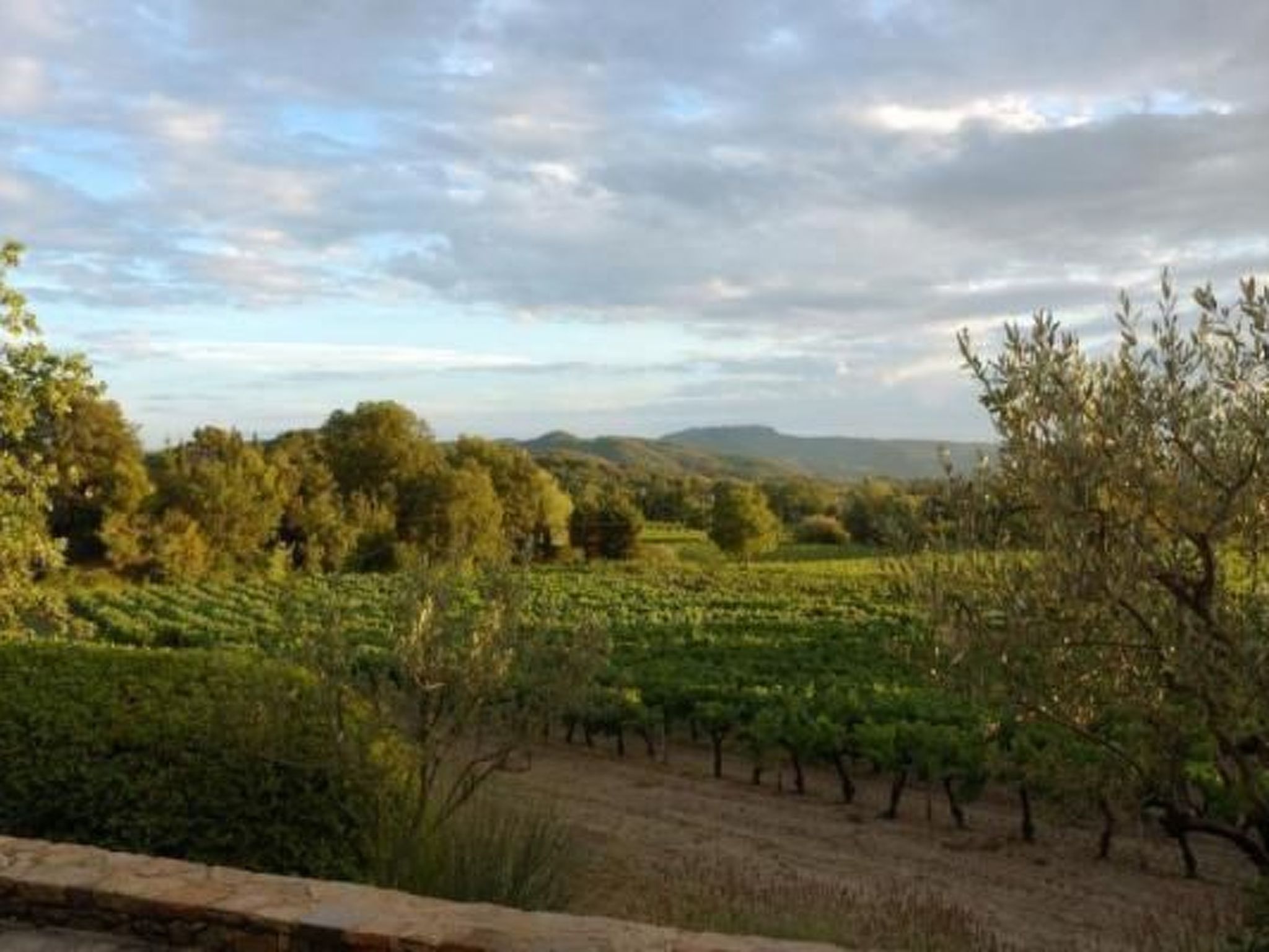 FERIENHAUS, FERIENHAUS "MAISON DE LAVANDE" (LAVENDELHAUS)-Binnen