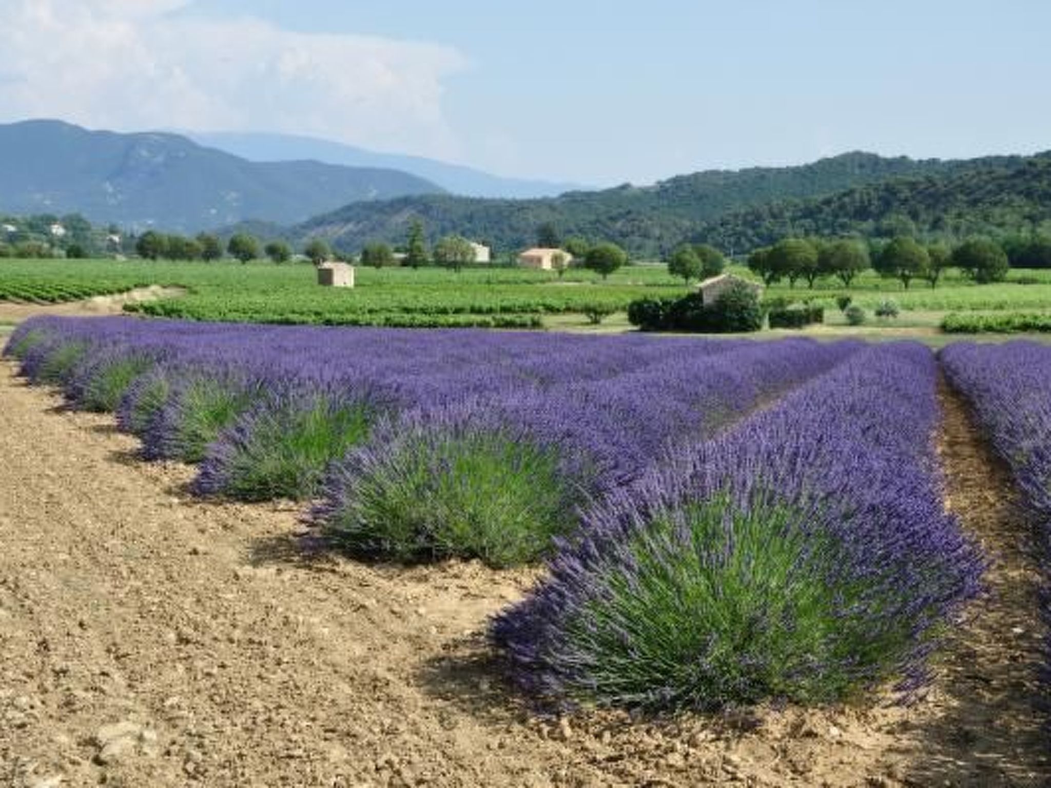 FERIENHAUS, FERIENHAUS "MAISON DE LAVANDE" (LAVENDELHAUS)-Binnen