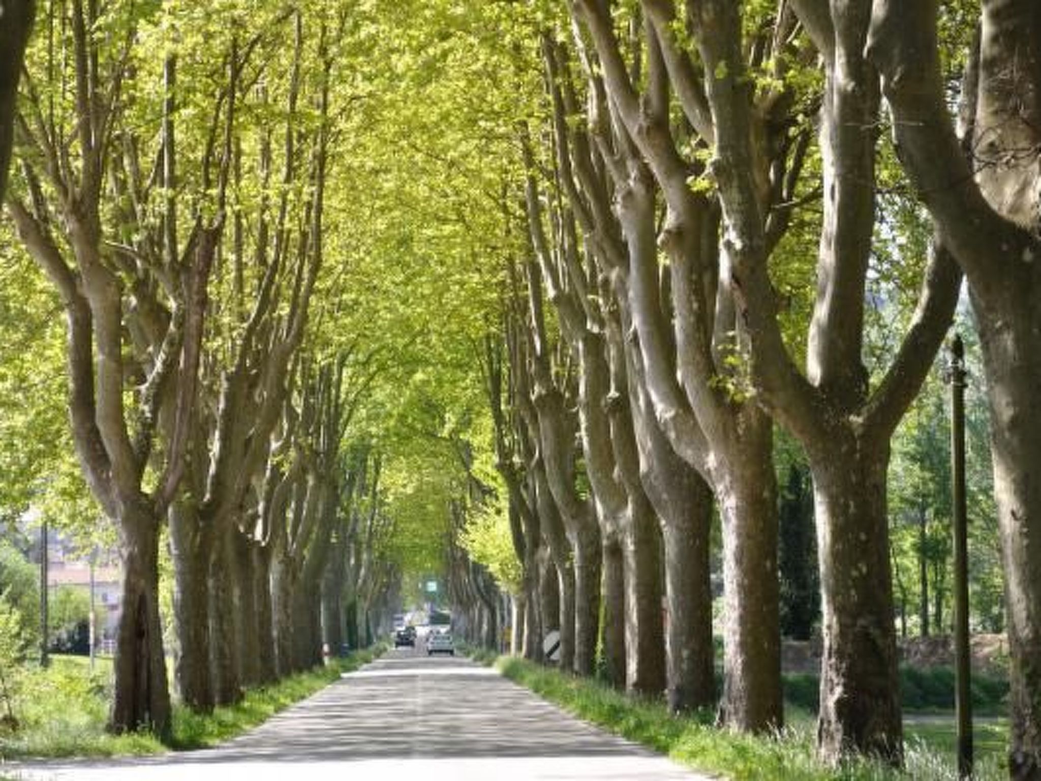 FERIENHAUS, FERIENHAUS "MAISON DE LAVANDE" (LAVENDELHAUS)-Binnen