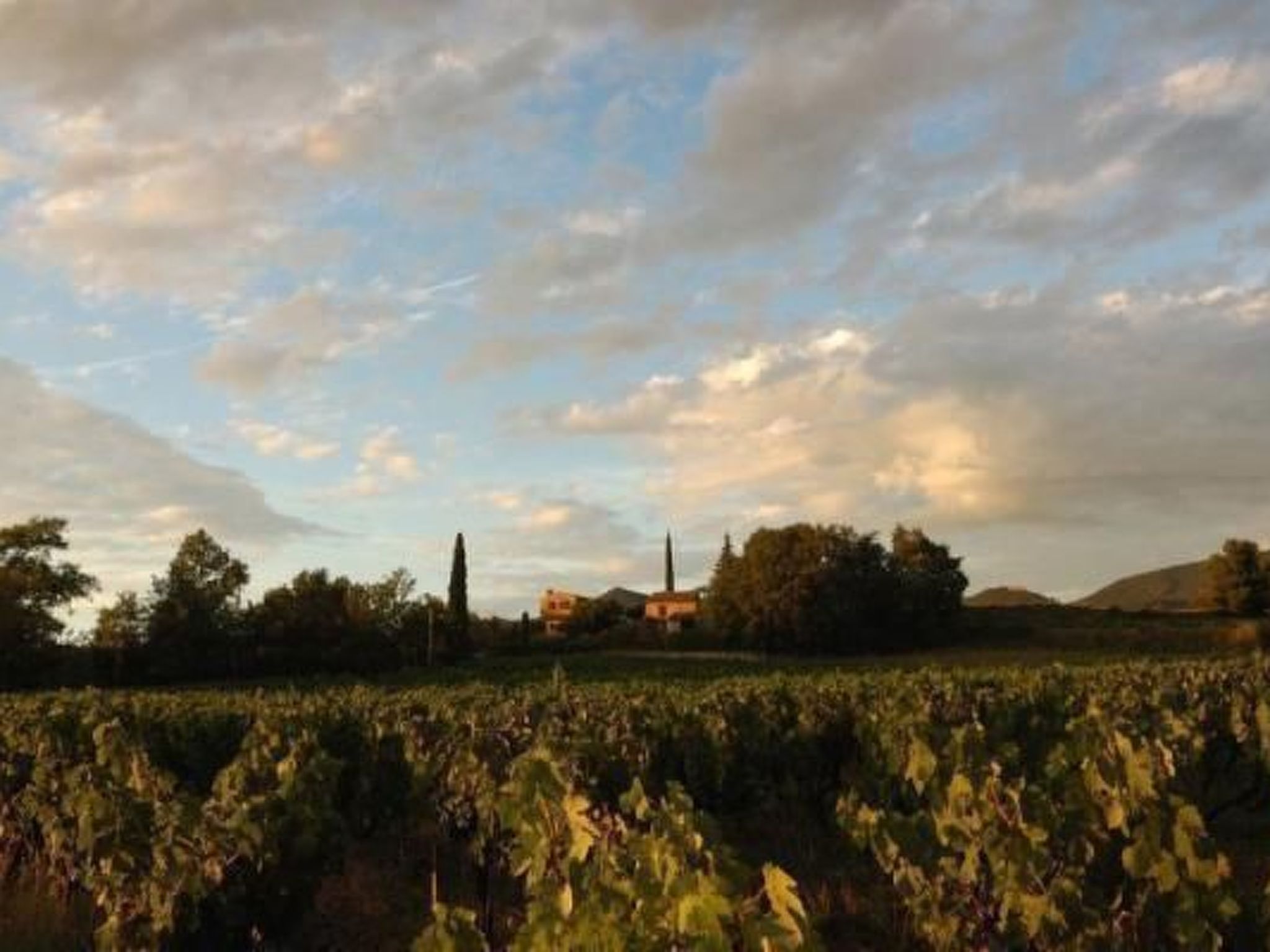 FERIENHAUS, FERIENHAUS "MAISON DE LAVANDE" (LAVENDELHAUS)-Binnen