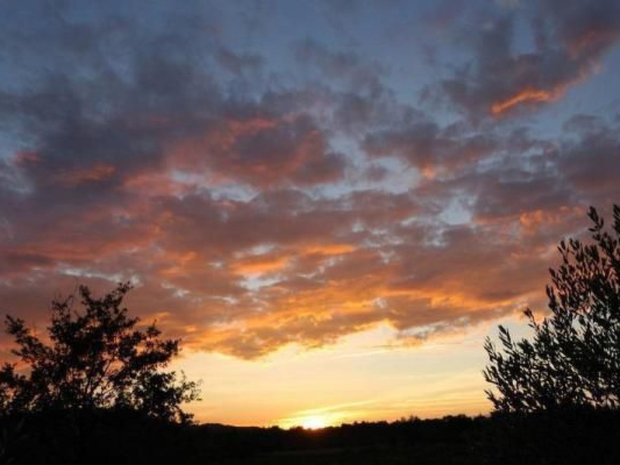 FERIENHAUS, FERIENHAUS "MAISON DE LAVANDE" (LAVENDELHAUS)-Binnen