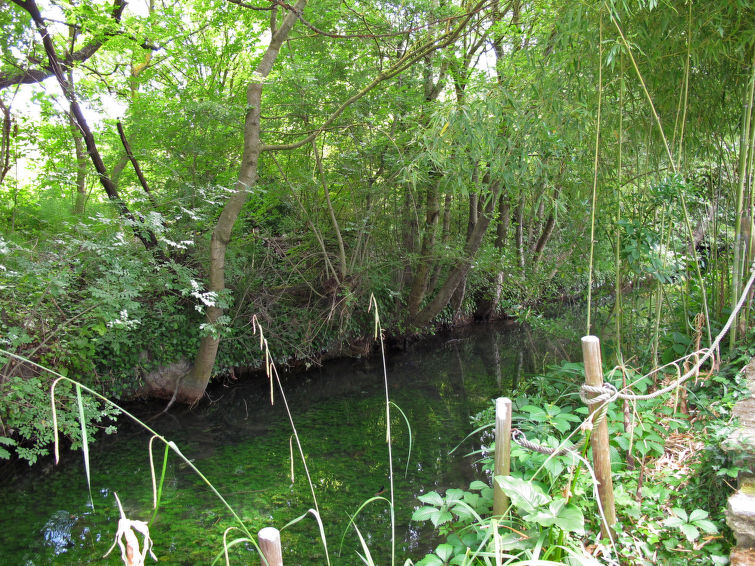 Photo of L'Isle sur la Sorgue