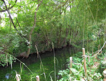 Vakantiehuis L'Isle sur la Sorgue